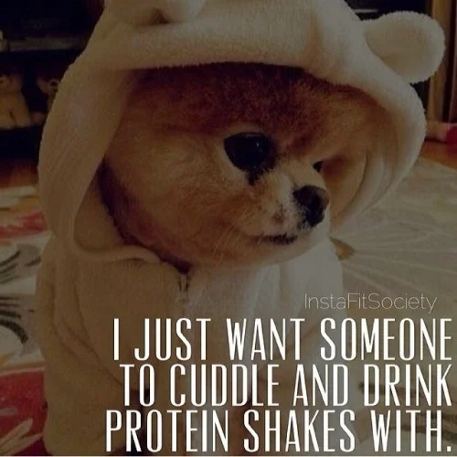 proteinshakecuddle1864.jpg