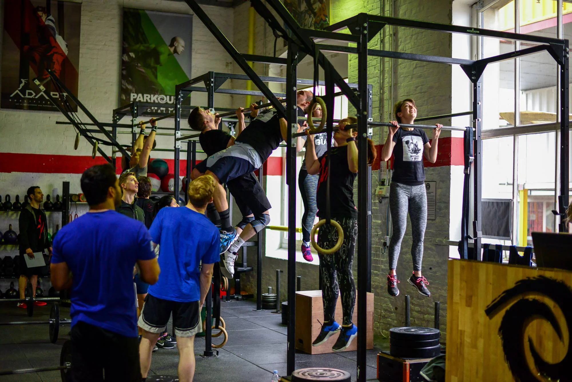pullups1864.jpg