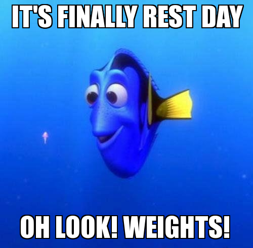 restday1864.png