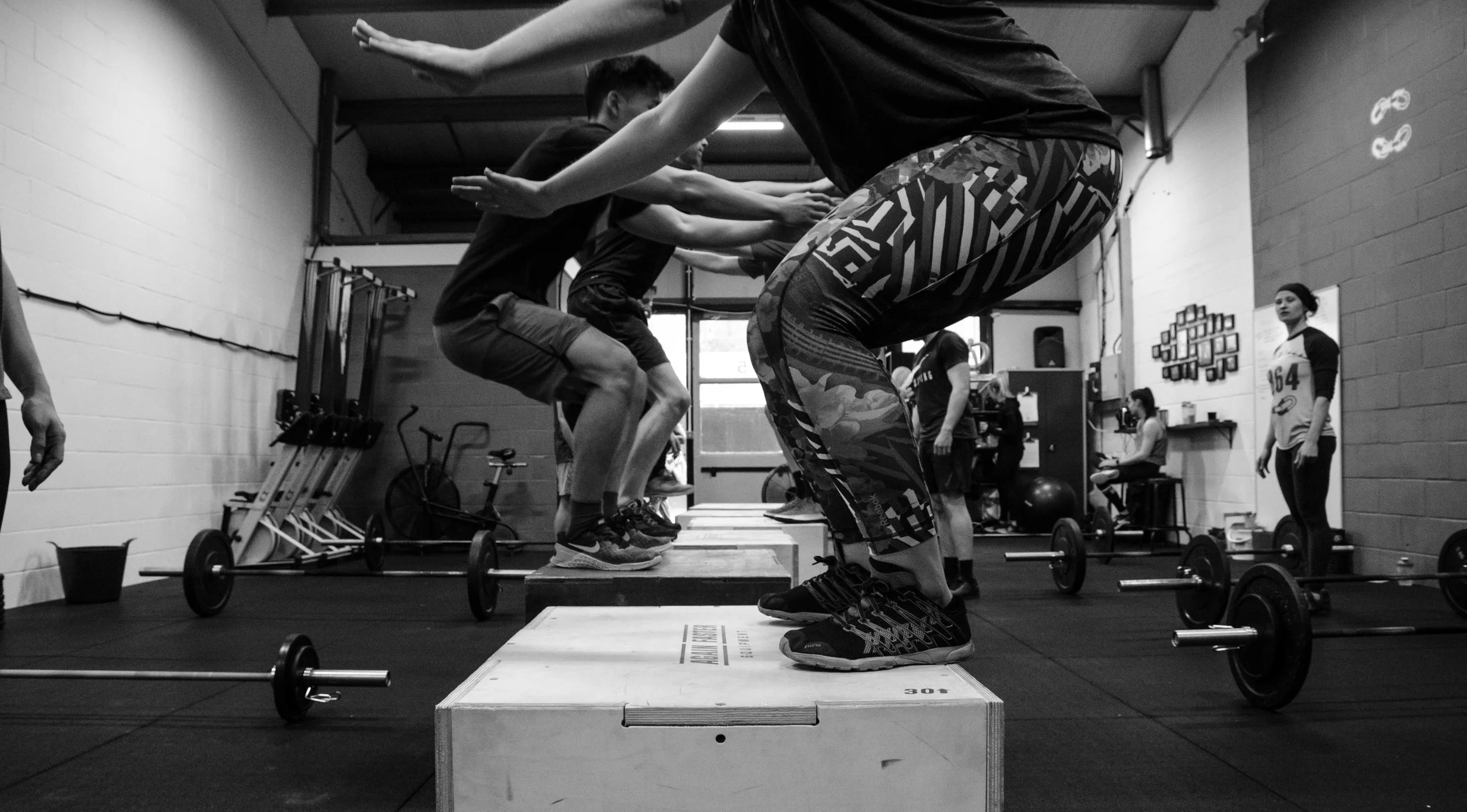 boxjump1864.jpg