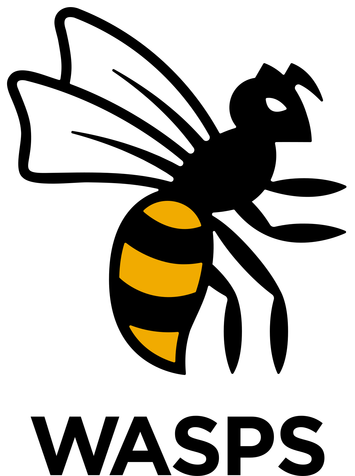 Wasps_RFC_logo_2021.svg.png