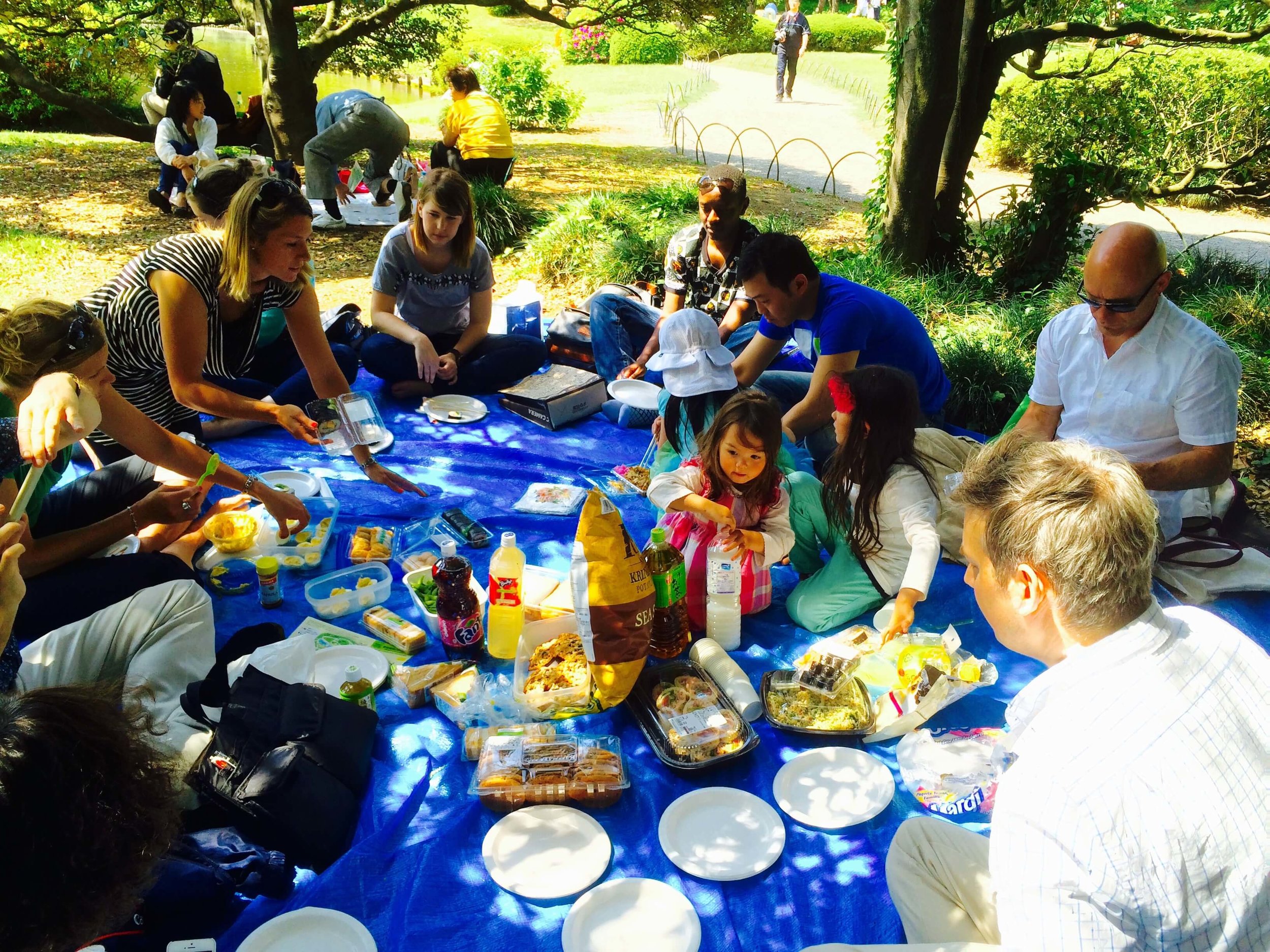 Shinjuku Gyoen Picnic