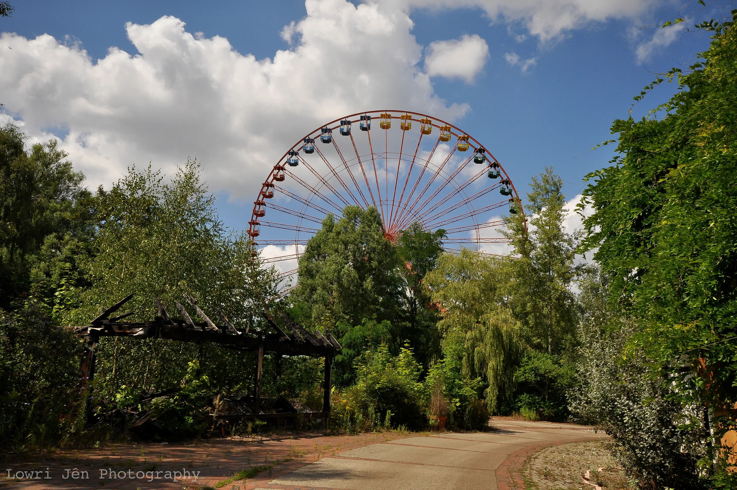 DSC_6852.jpg