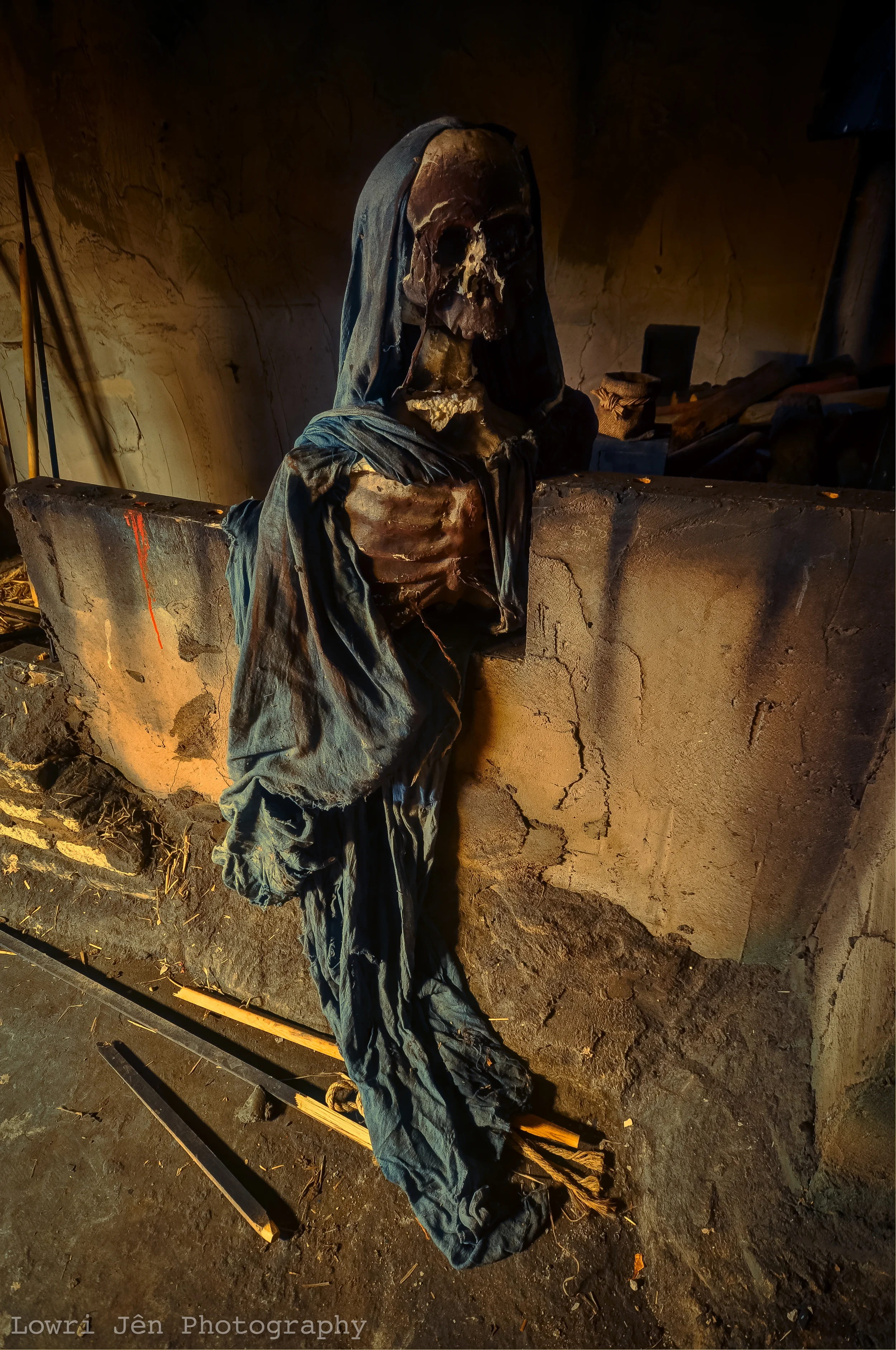 DSC_4195_6_7_fused-2.jpg