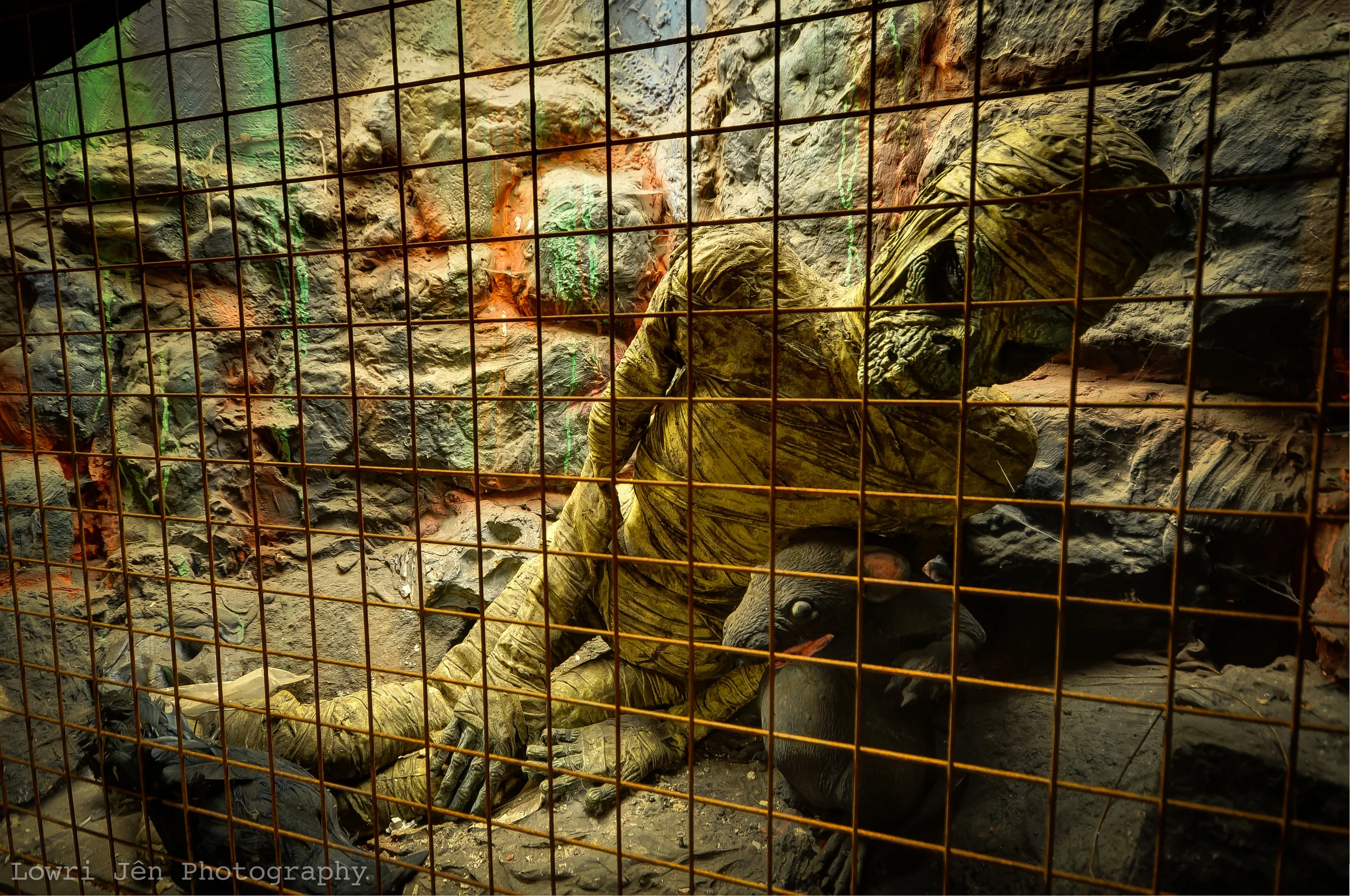 DSC_4201_2_3_fused-2.jpg