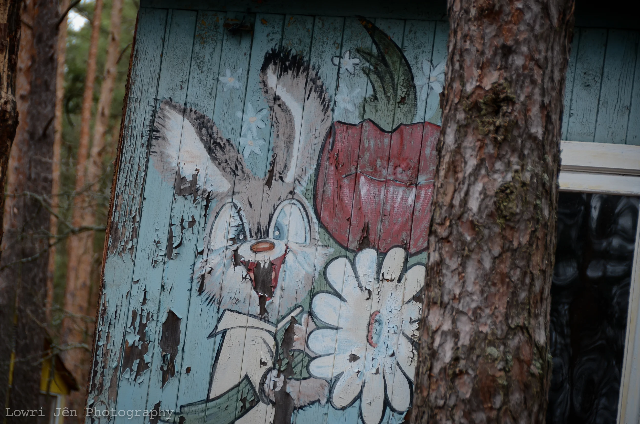 DSC_6092.jpg