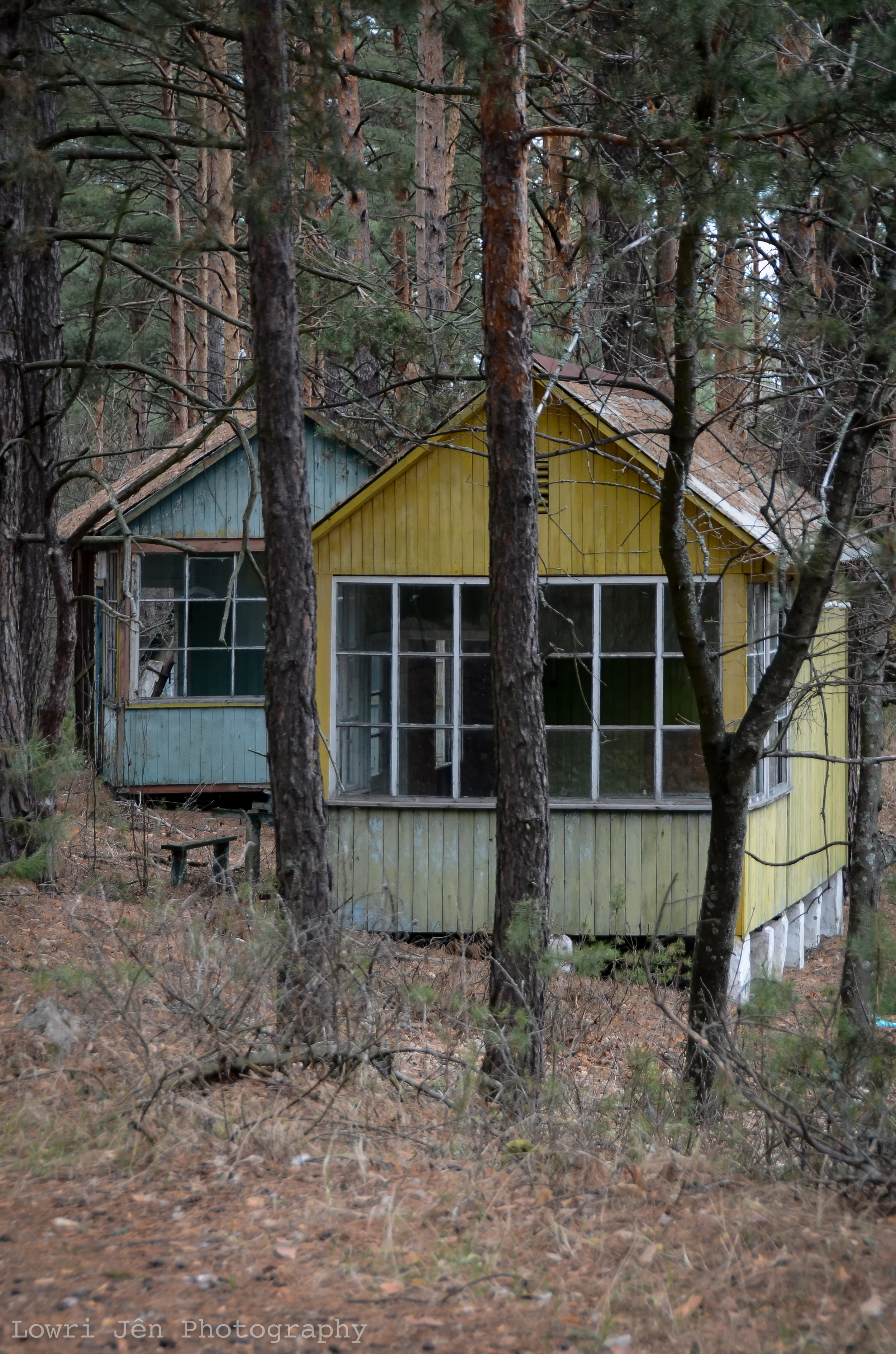 DSC_6116.jpg