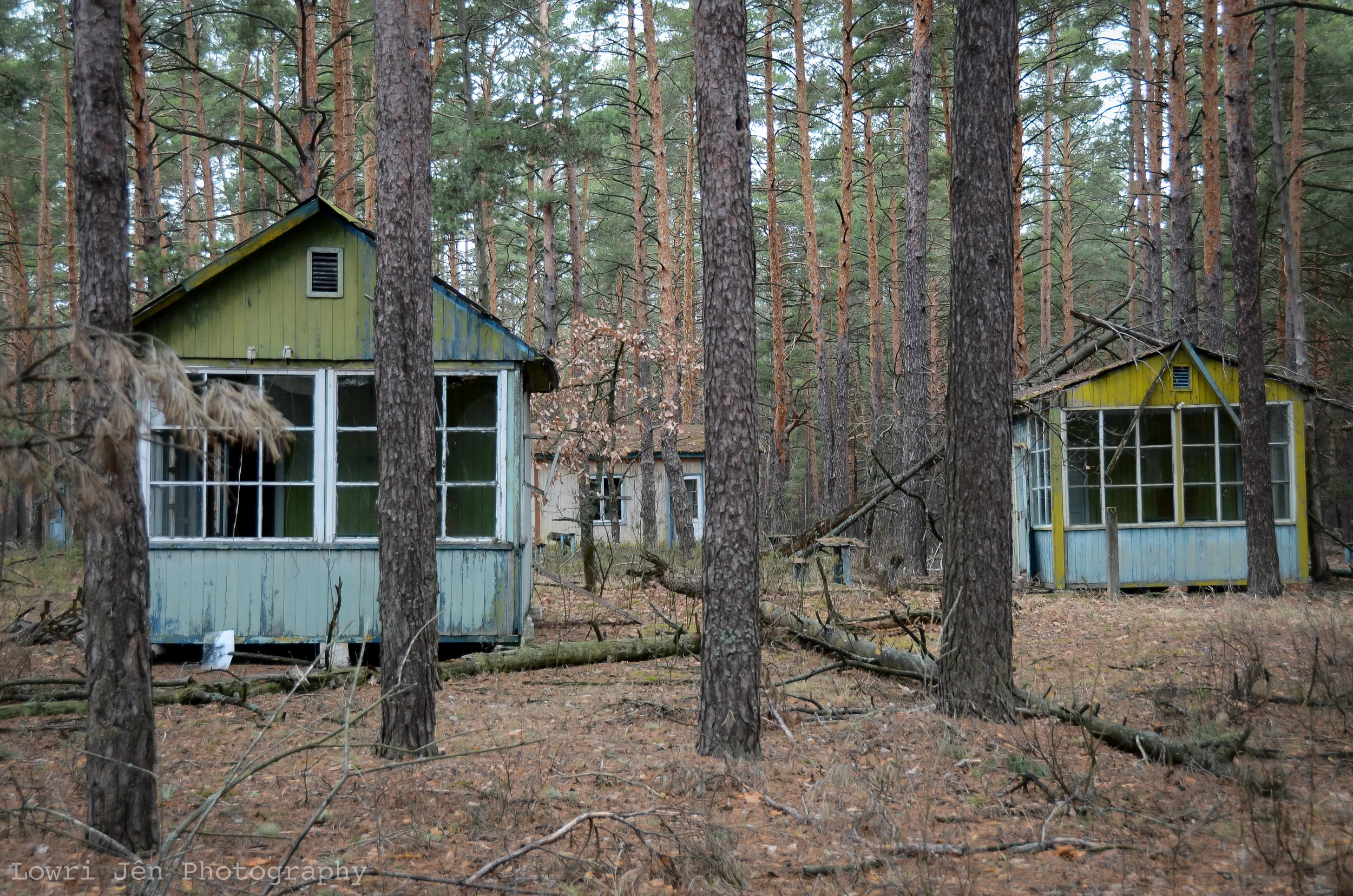 DSC_6137.jpg