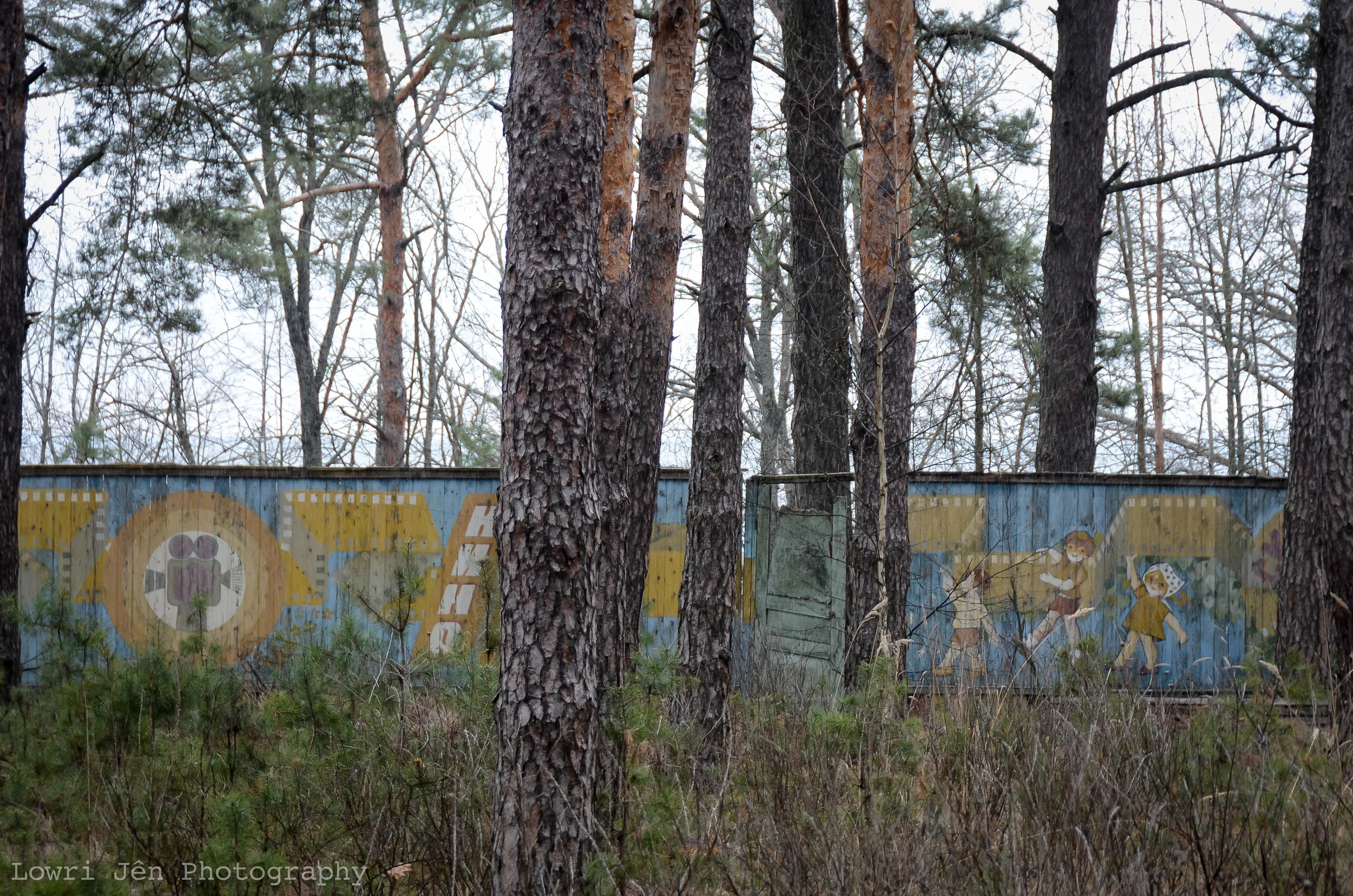 DSC_6146.jpg