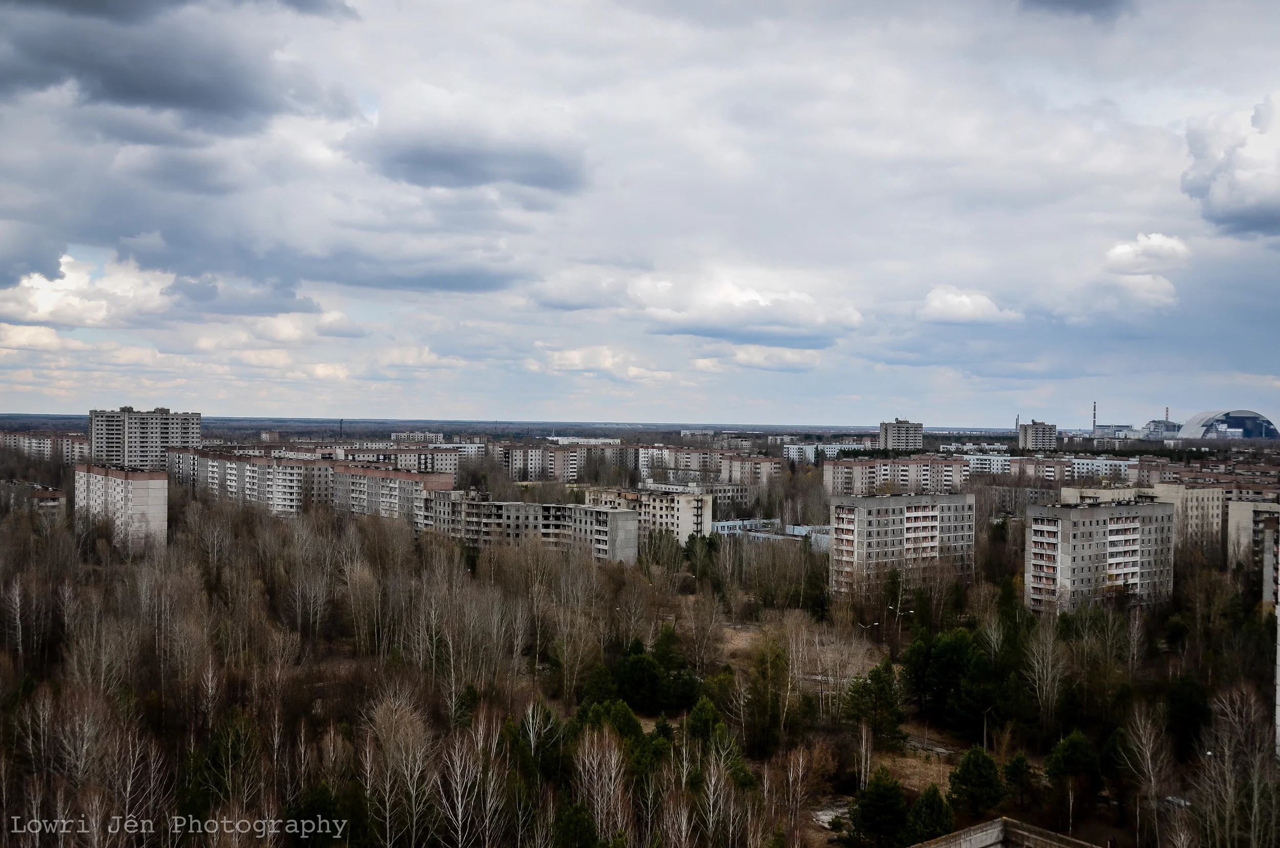 DSC_5331.jpg