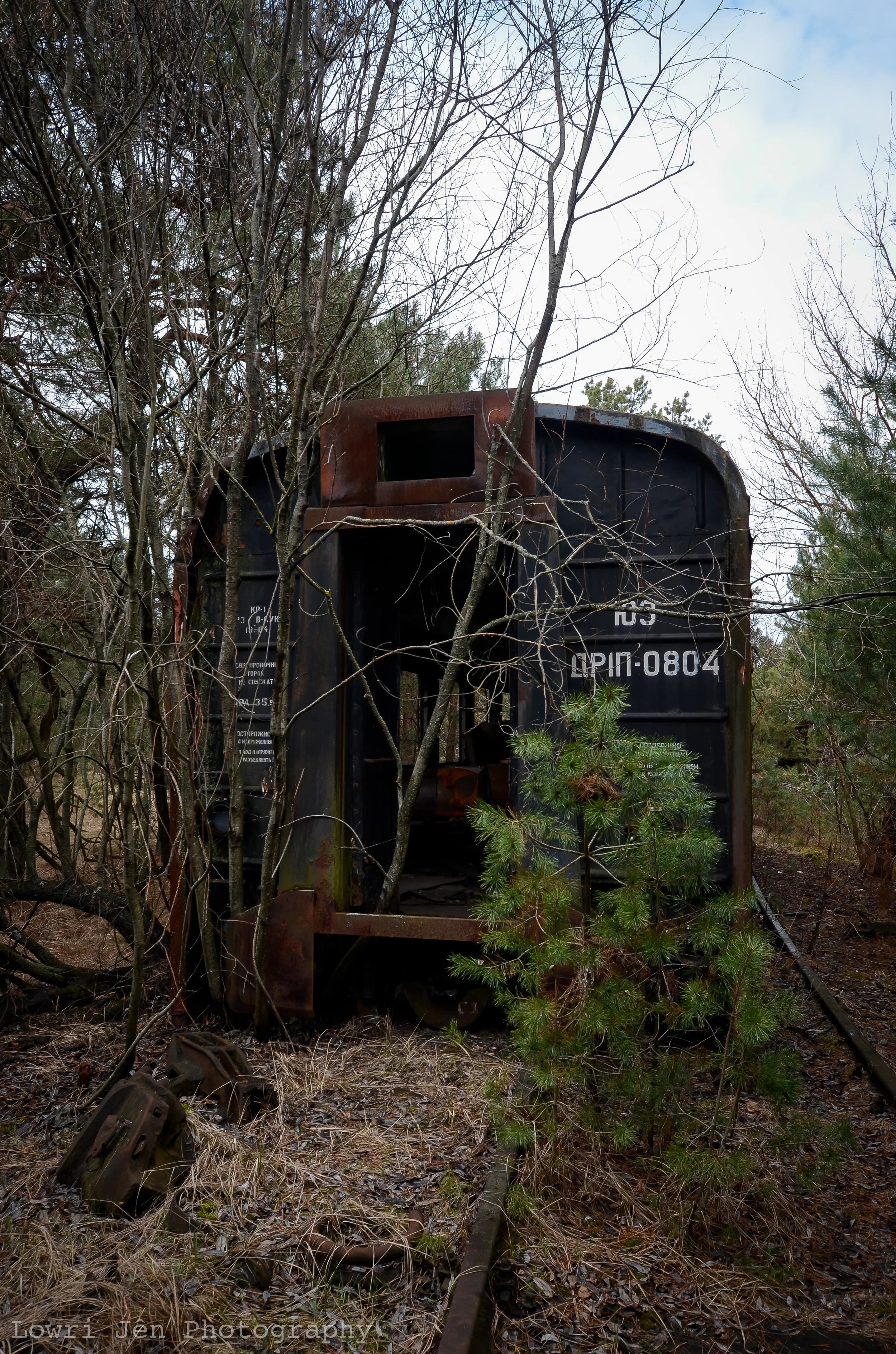 DSC_6352.jpg
