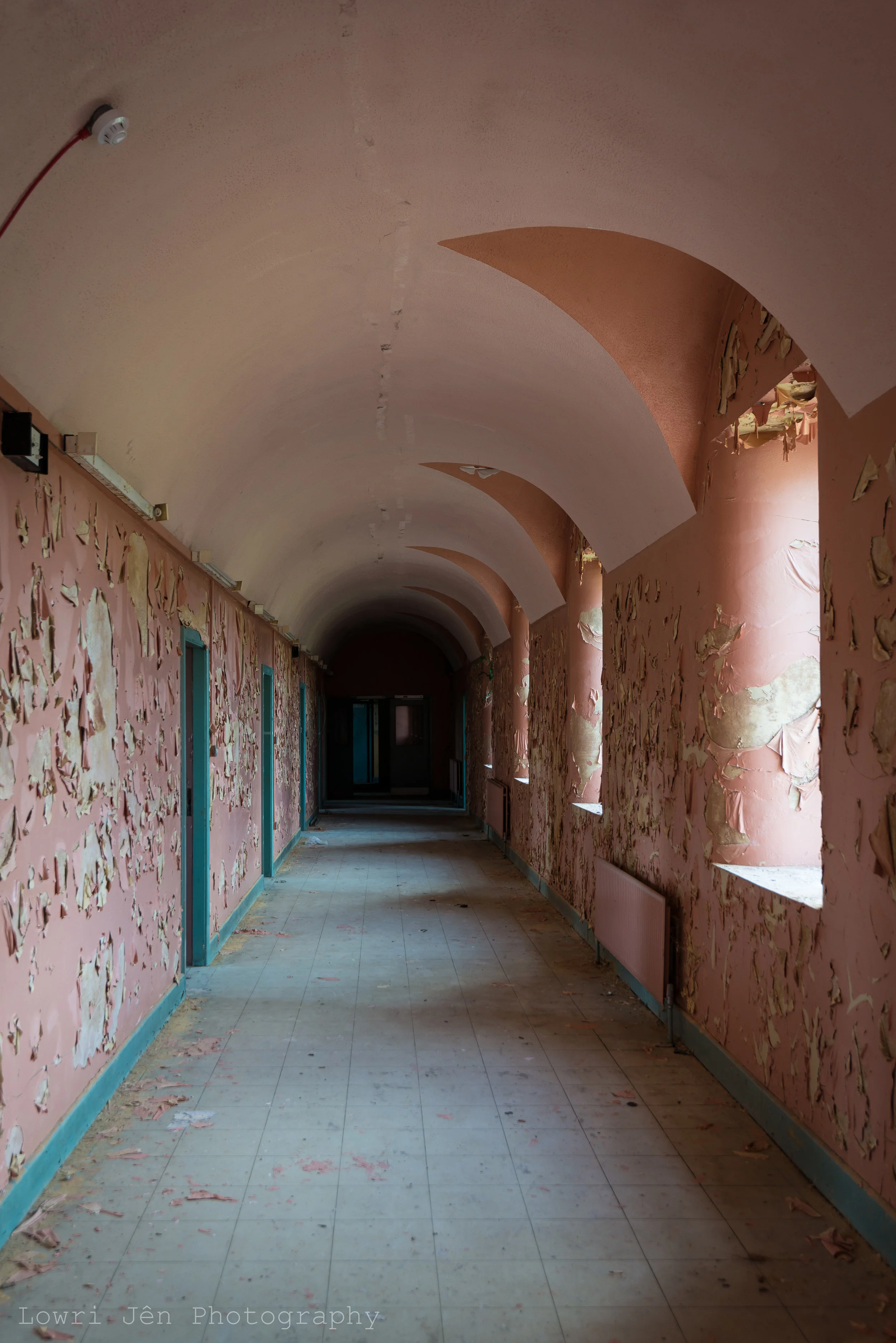 DSC_2013.jpg