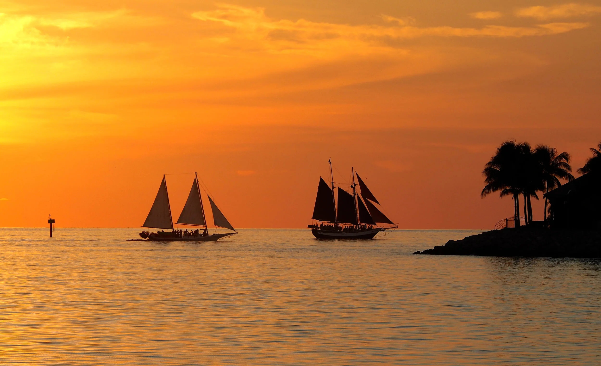 Sail into Sunset