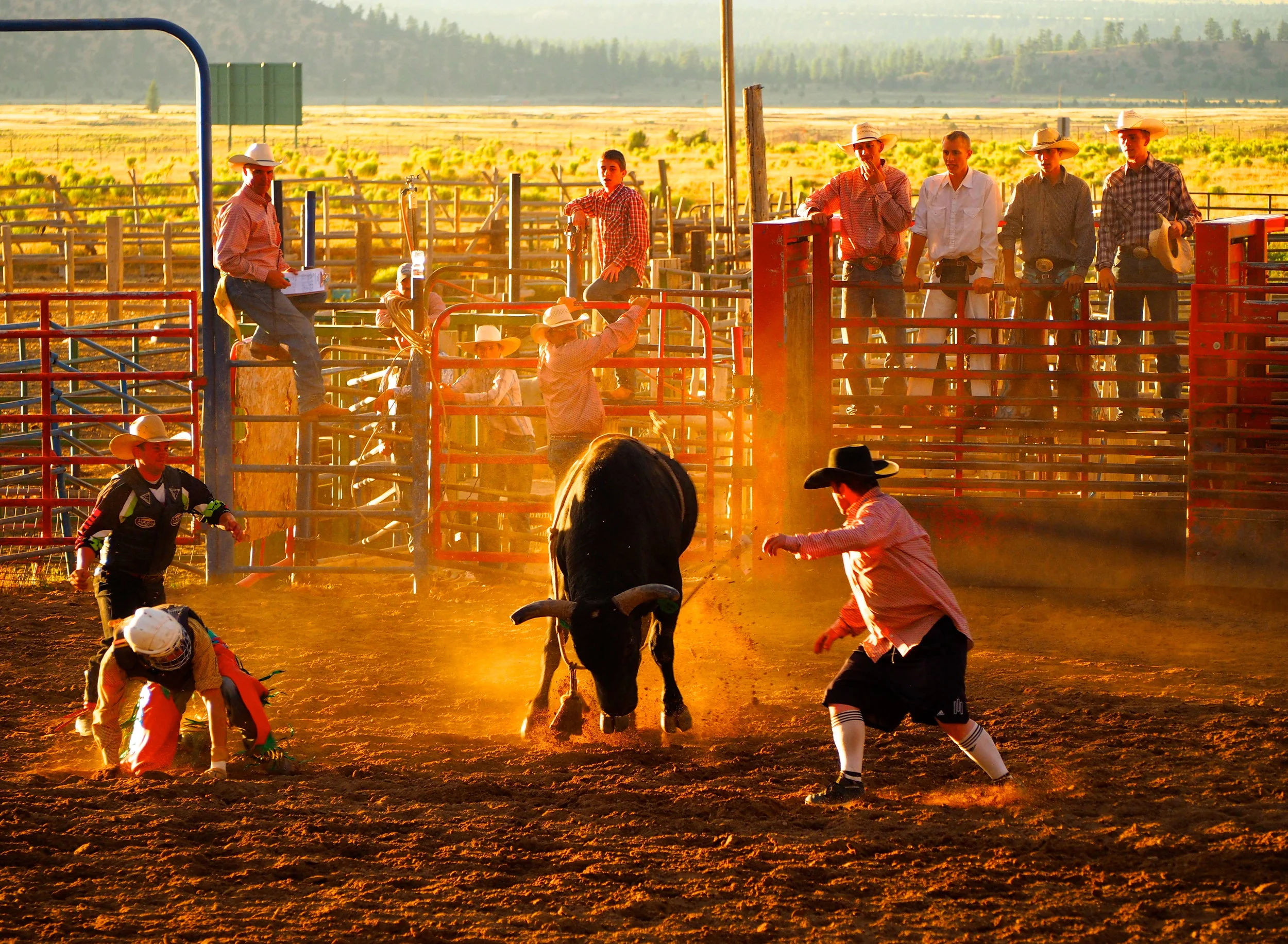 Rodeo