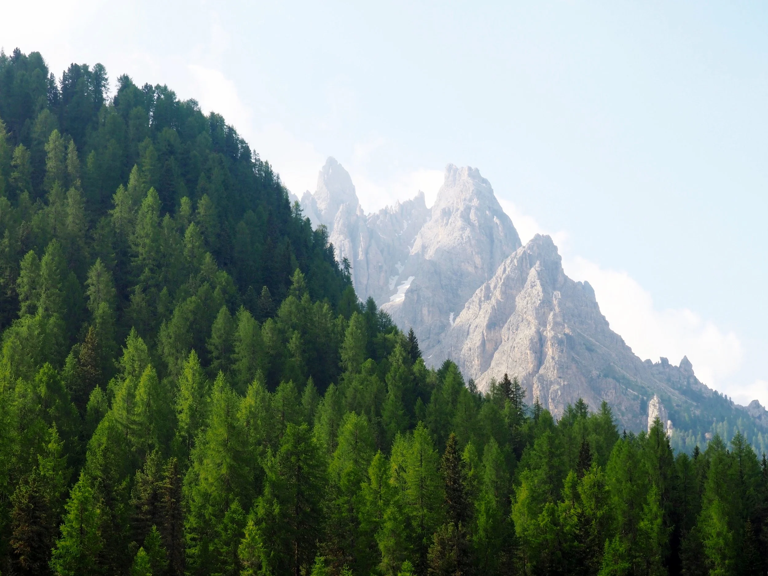 Contrasts in Nature