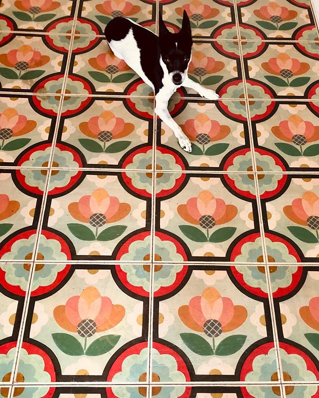 Six years ago while renovating my house in Charleston the idea struck me to create a wood tile that would mimic a hand painted floor. This is the first tile I made as I wanted to make a statement in my entry foyer that reflected my love of color, the