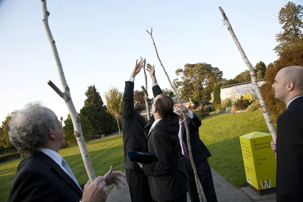 081214wavehill_27.jpg