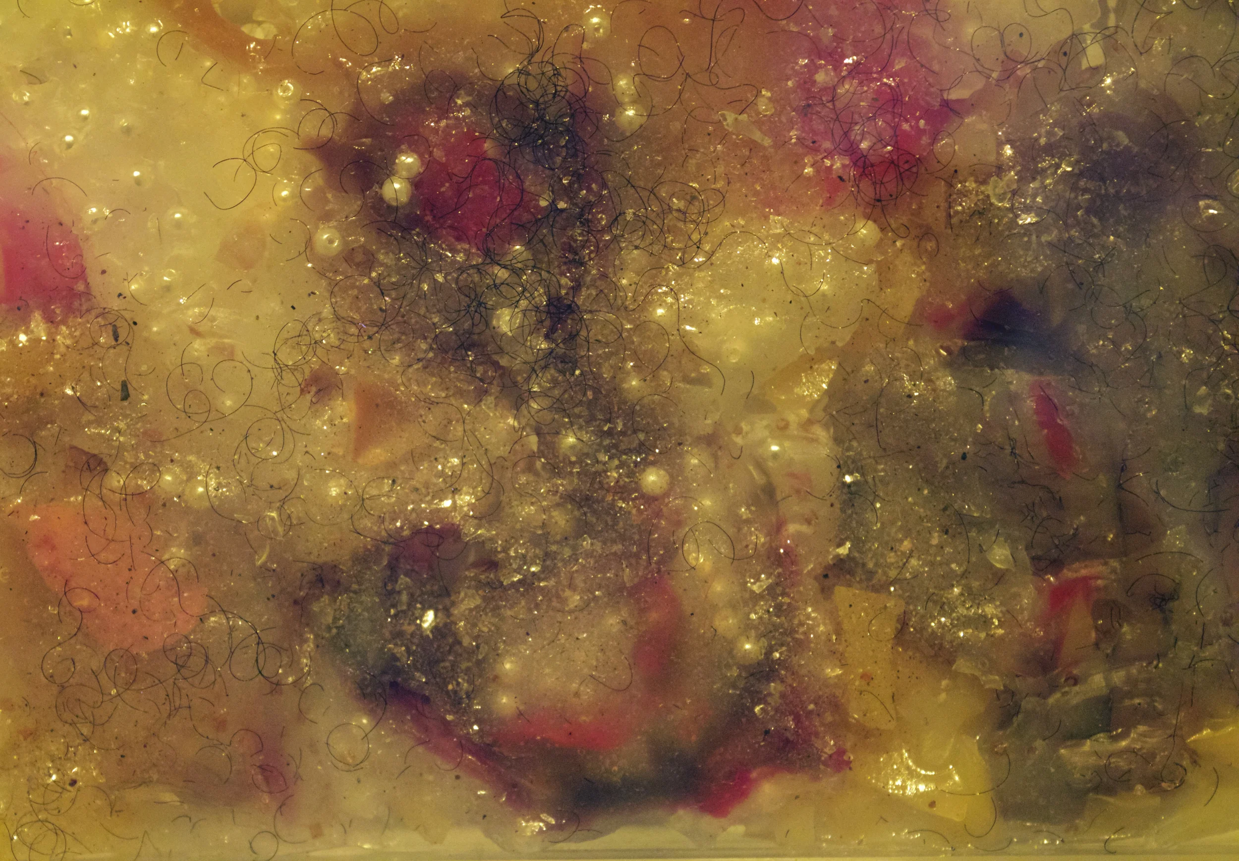 Sampled Skin Cells with Melanin I (micro) Silicone, Swarovski Crystals, Mica Flakes 11x14 2016