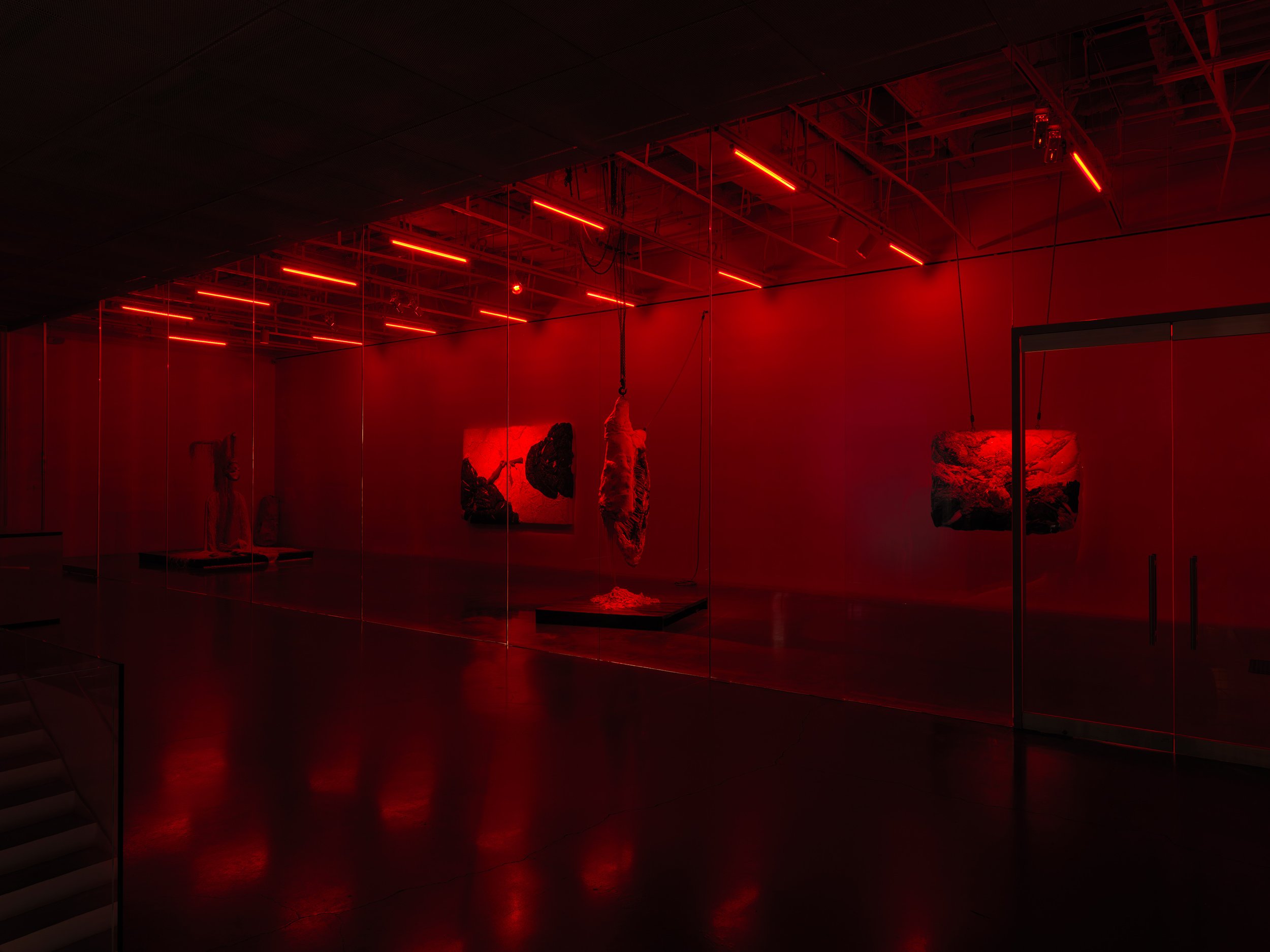 installation view, REVOLTED, New Museum, New York