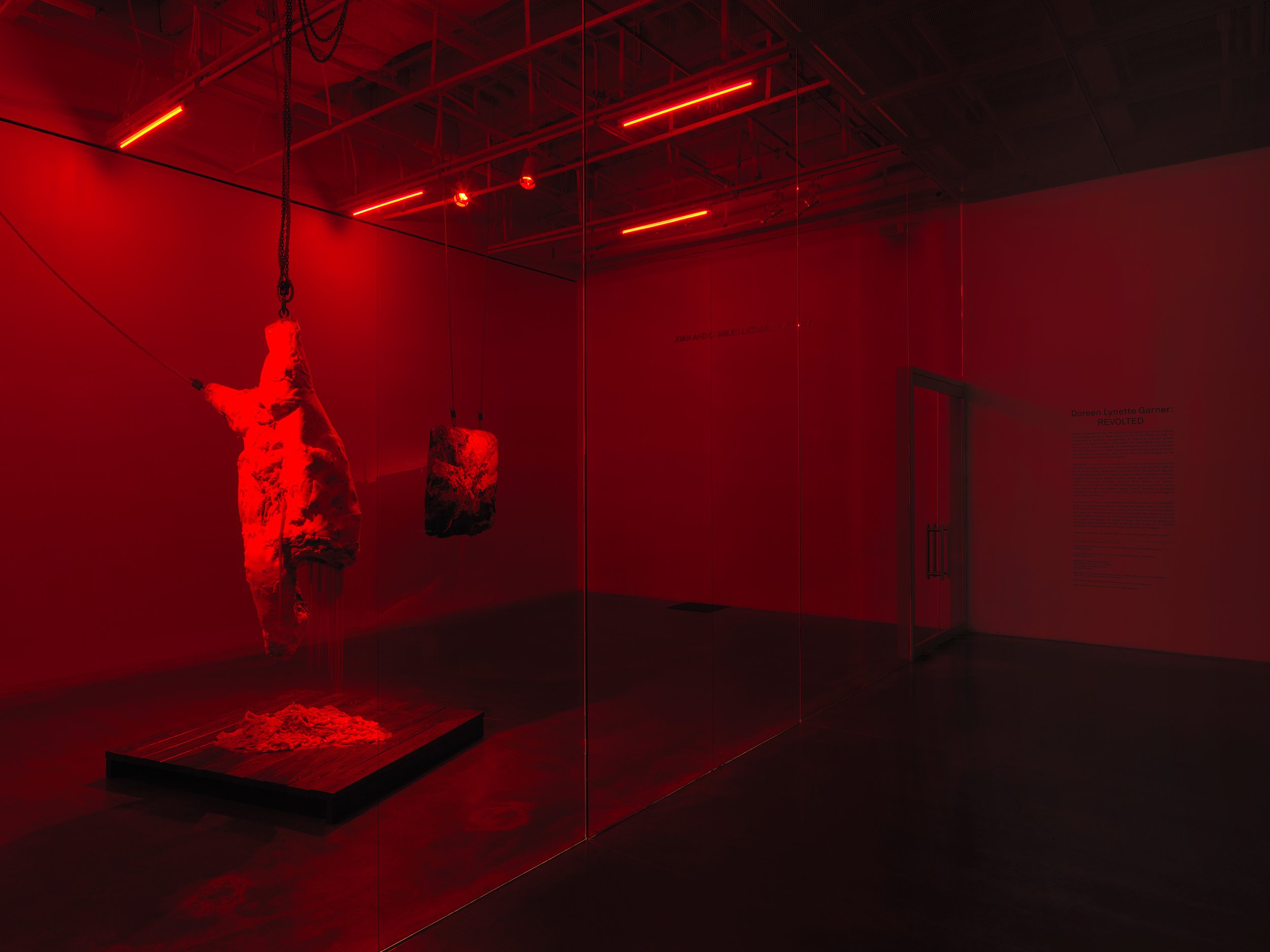 installation view, REVOLTED, New Museum, New York