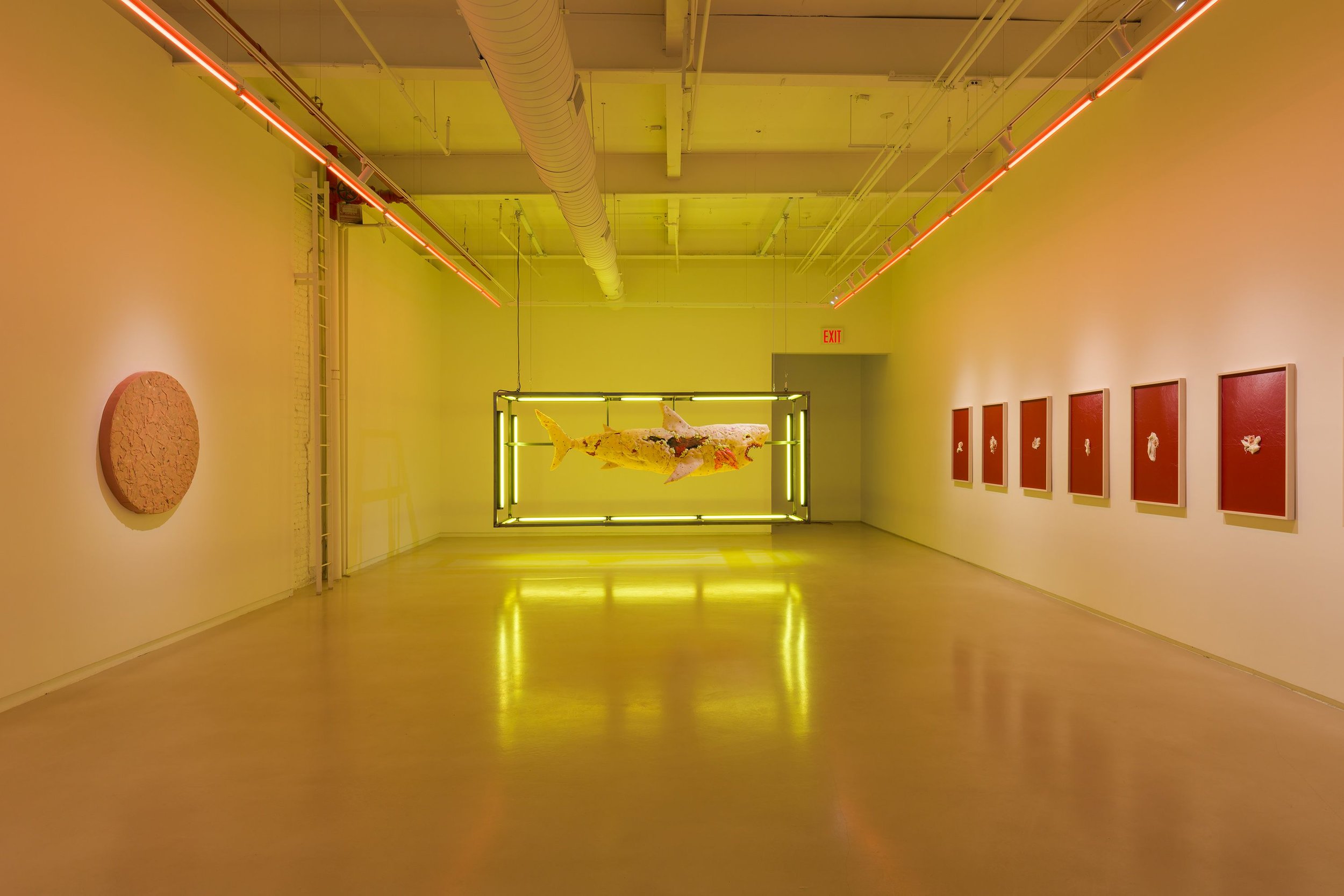 installation view, White Meat, JTT, New York