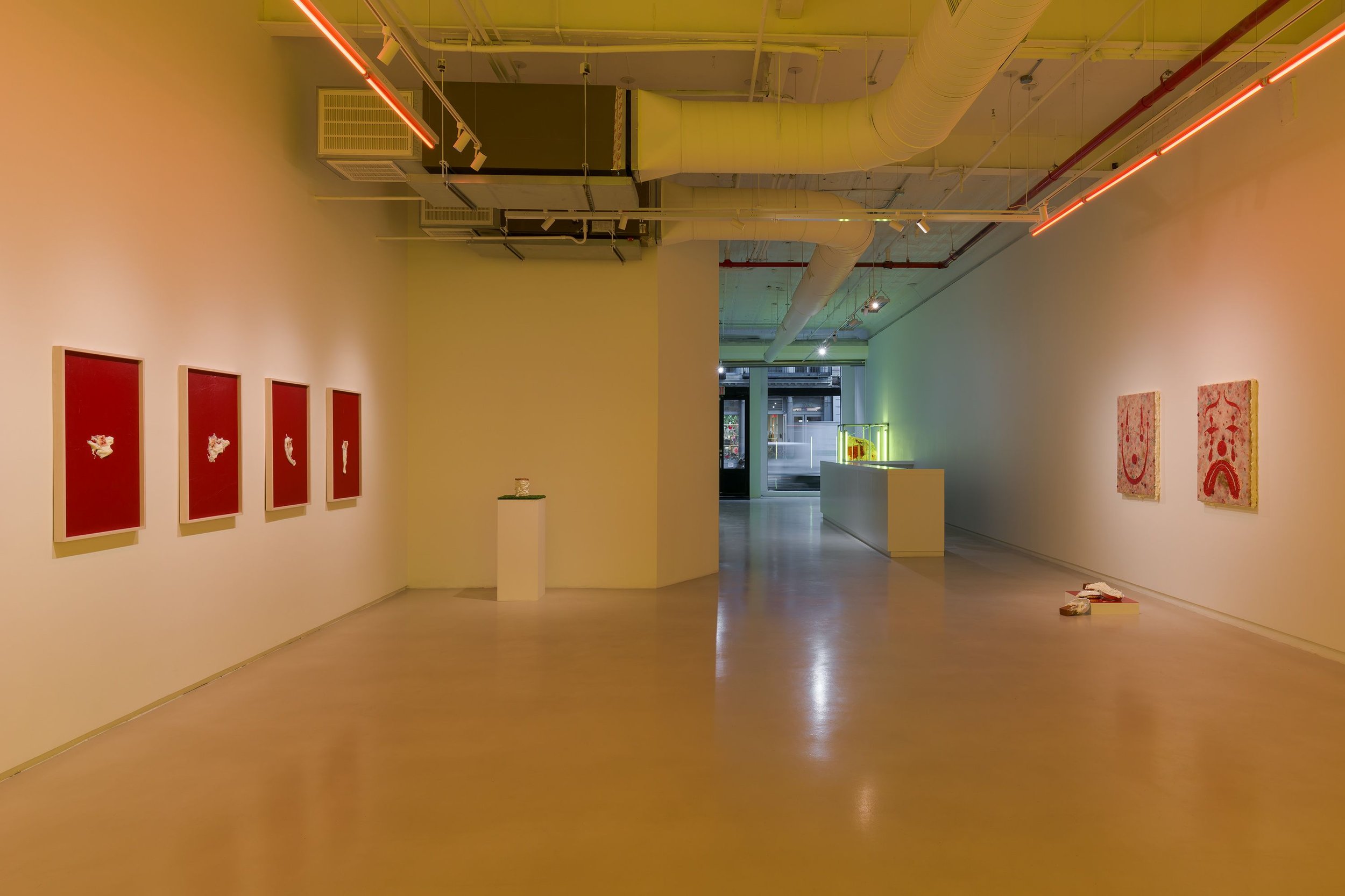 installation view, White Meat, JTT, New York