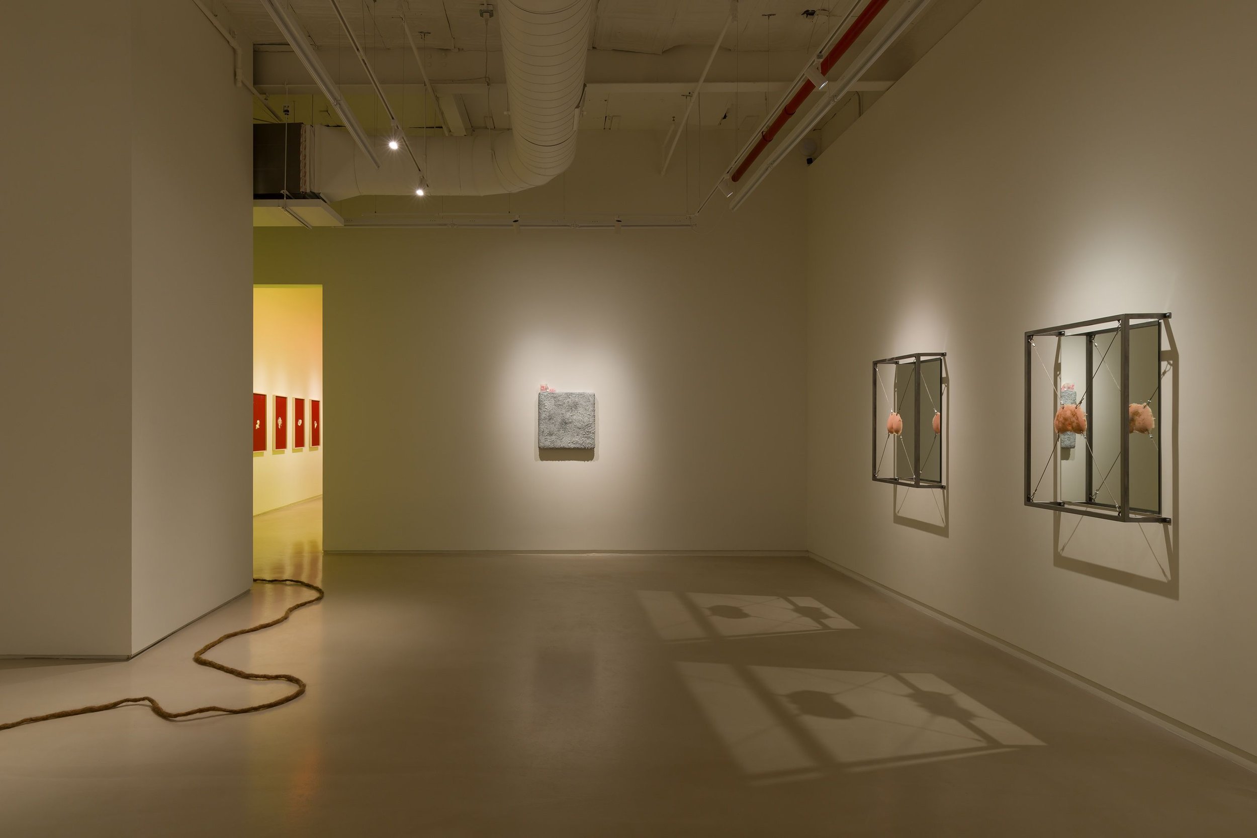 installation view, White Meat, JTT, New York