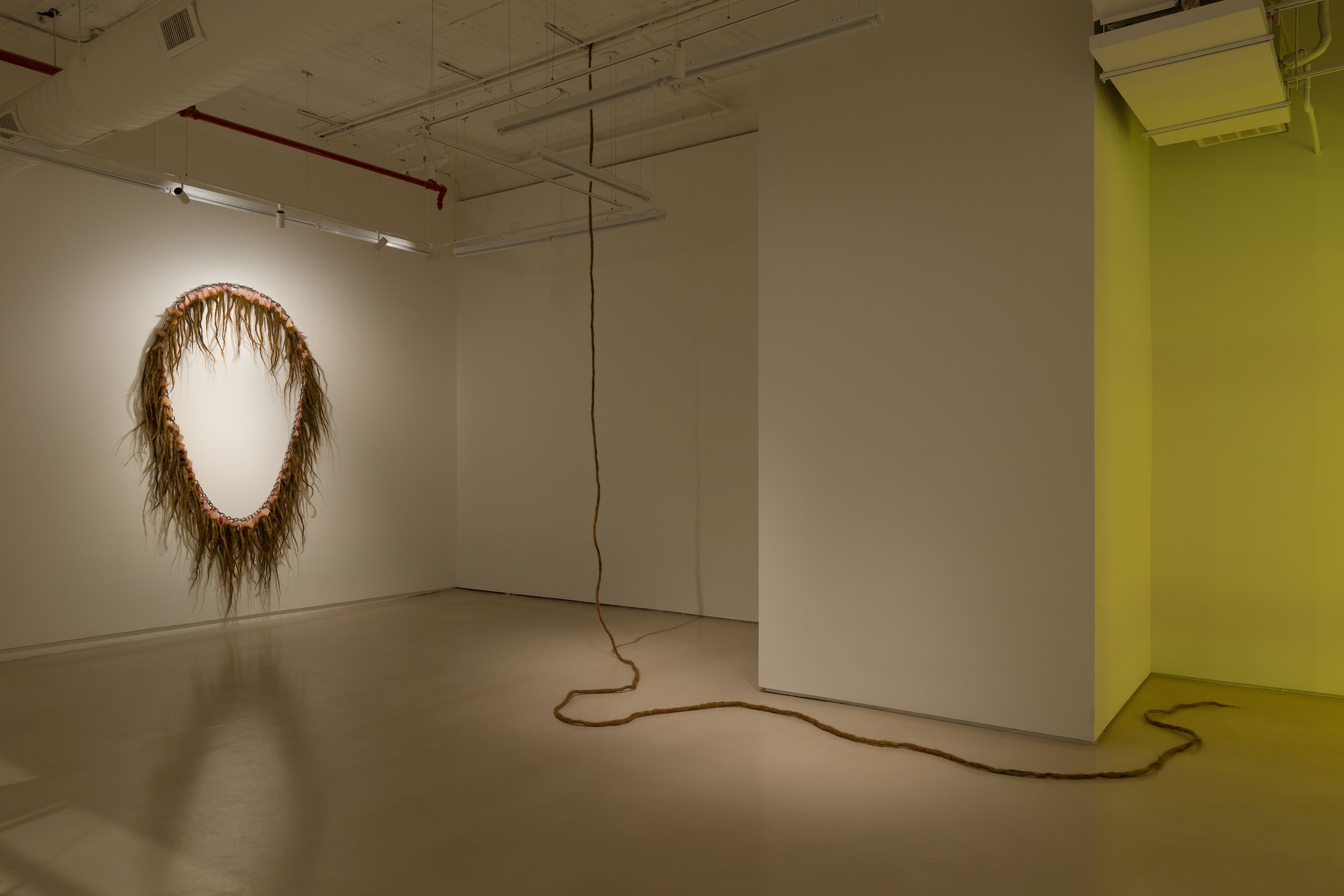 installation view, White Meat, JTT, New York