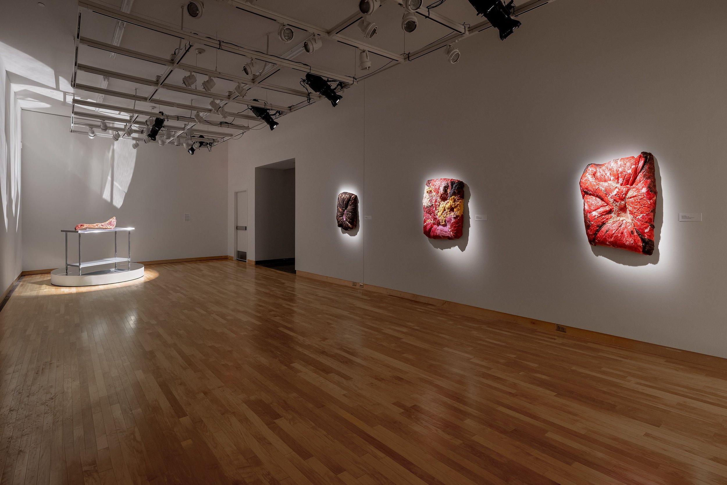 installation view, Doreen Lynette Garner, Perlman Teaching Museum, Carleton College, Northfield