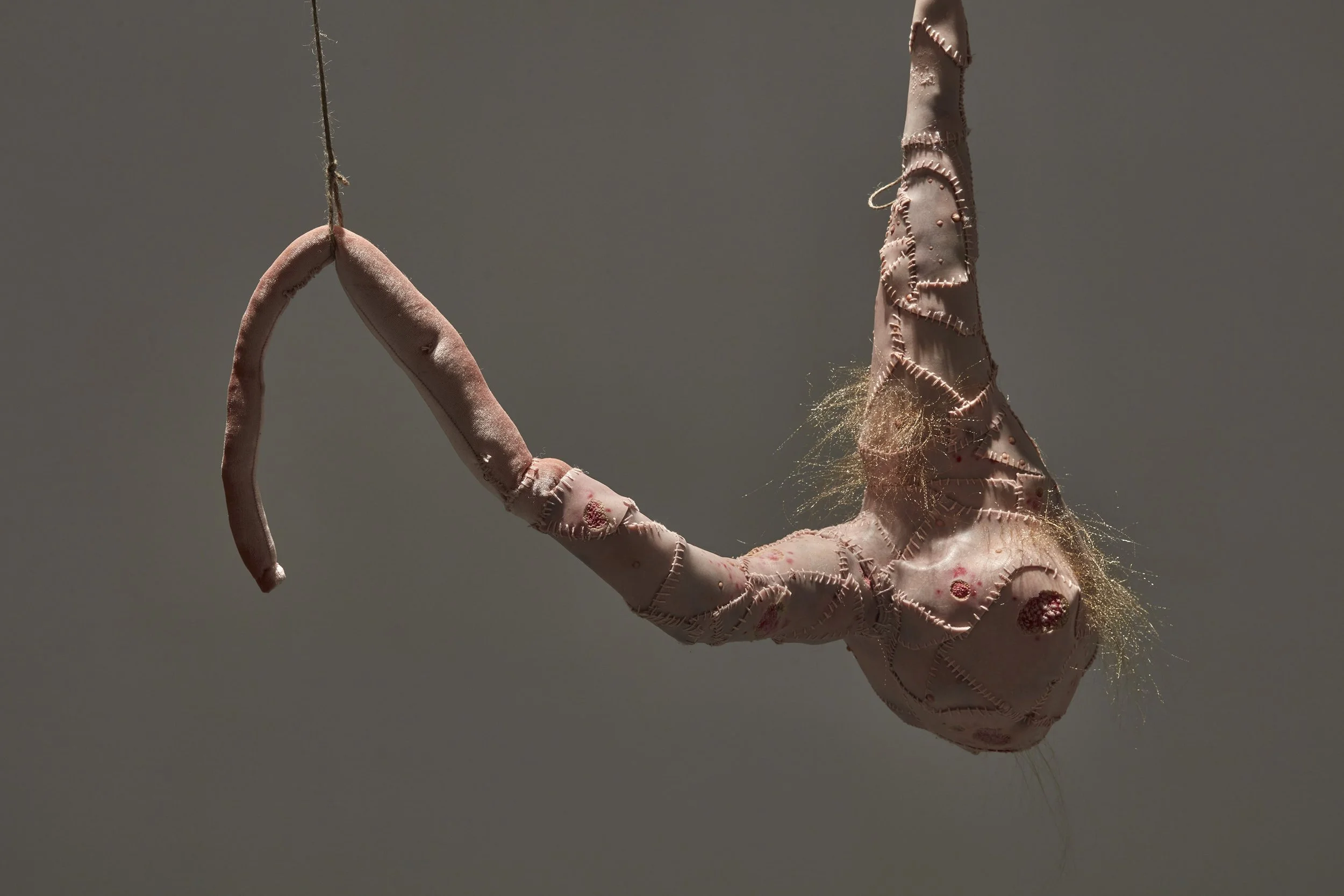 The White Male Parasite, 2026