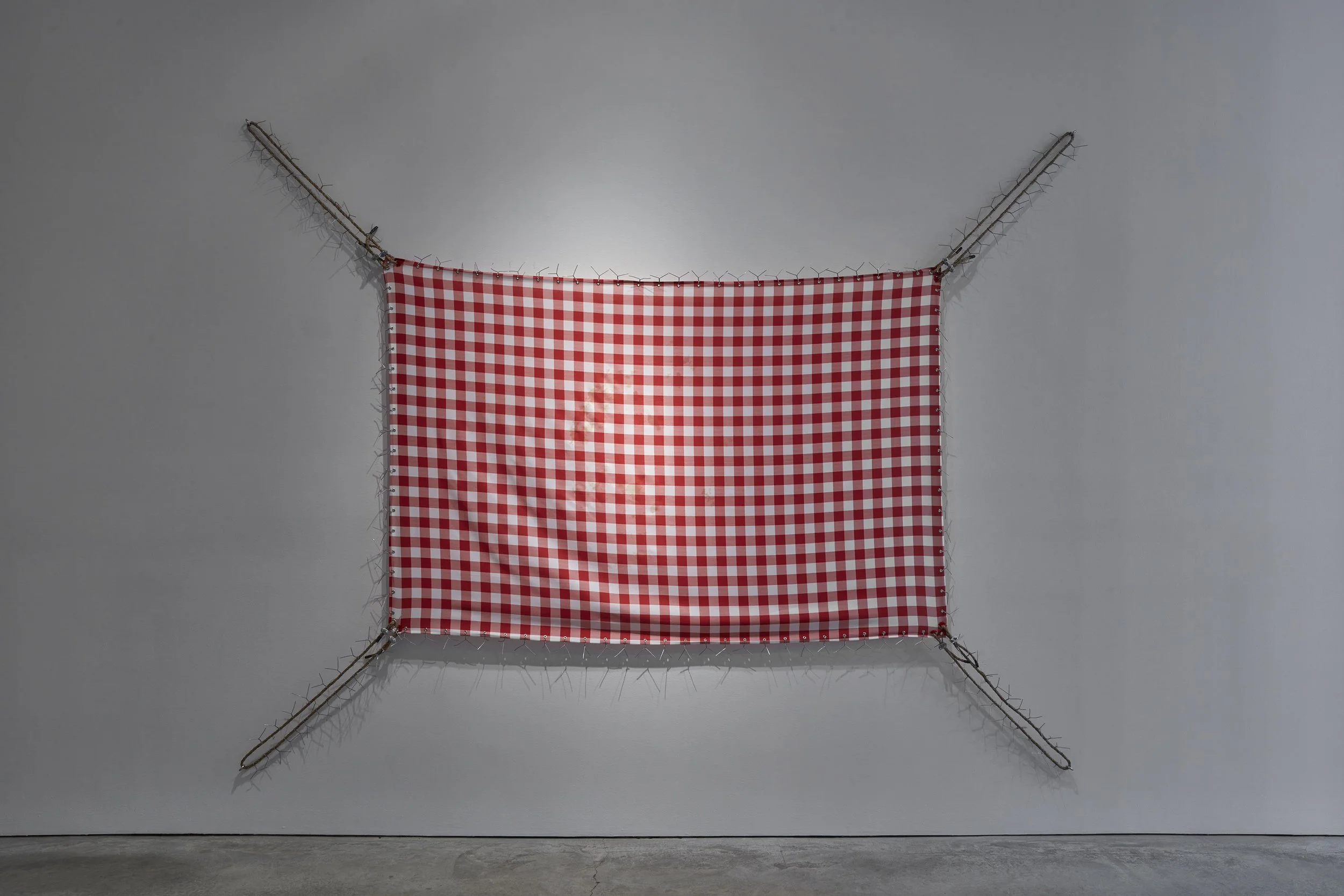 The Flag, 2026