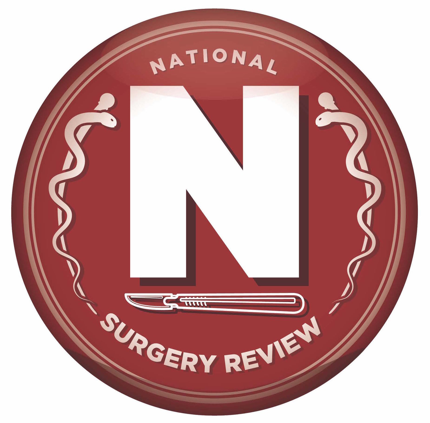  National Surgery Review