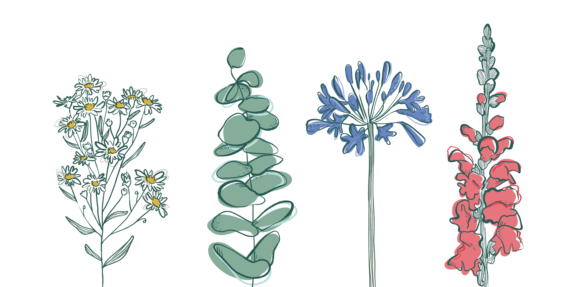 ILLUS-SET.png