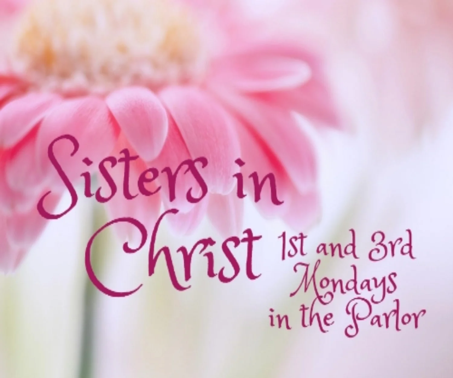Sisters in Christ  