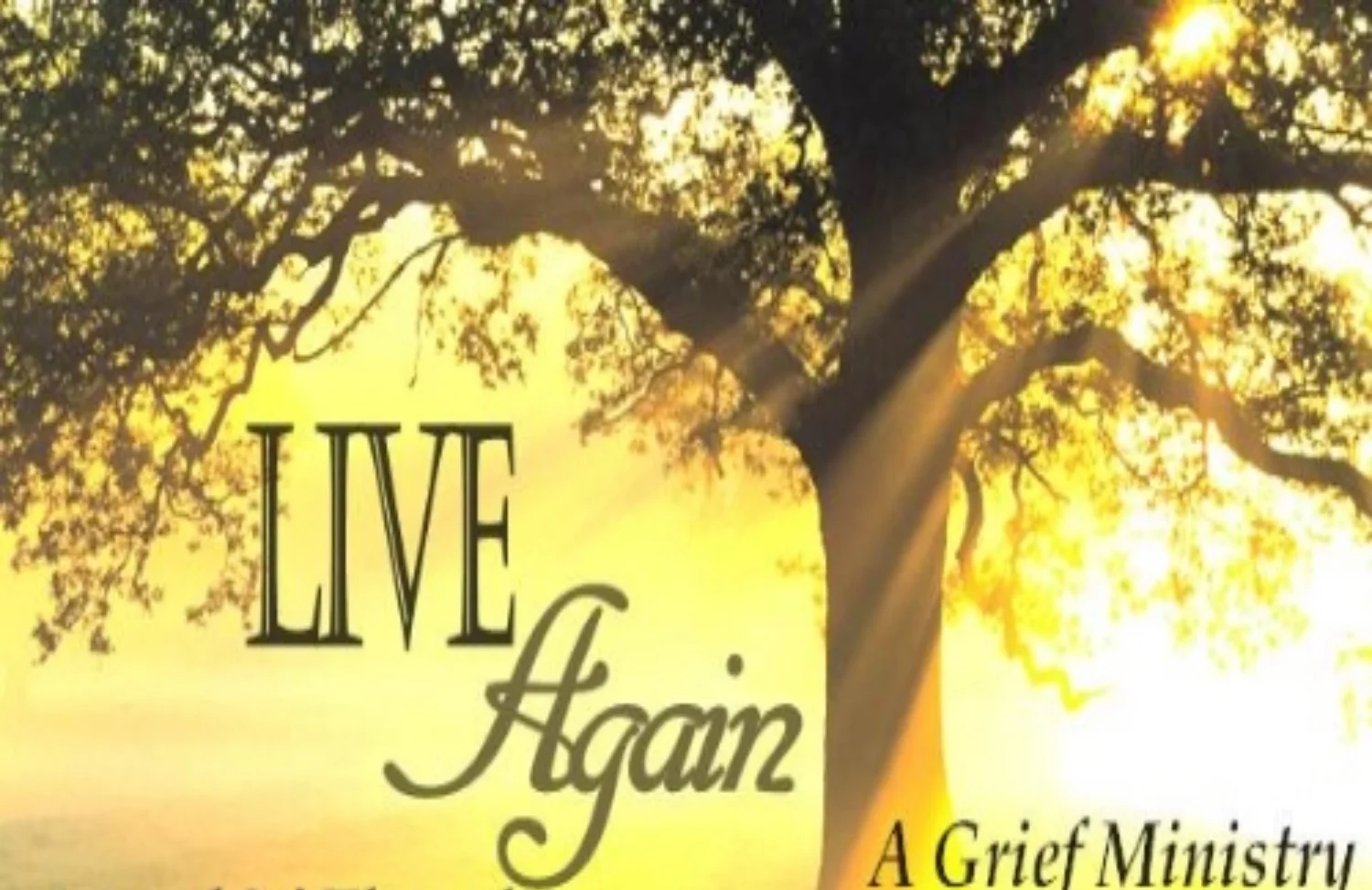 Live Again