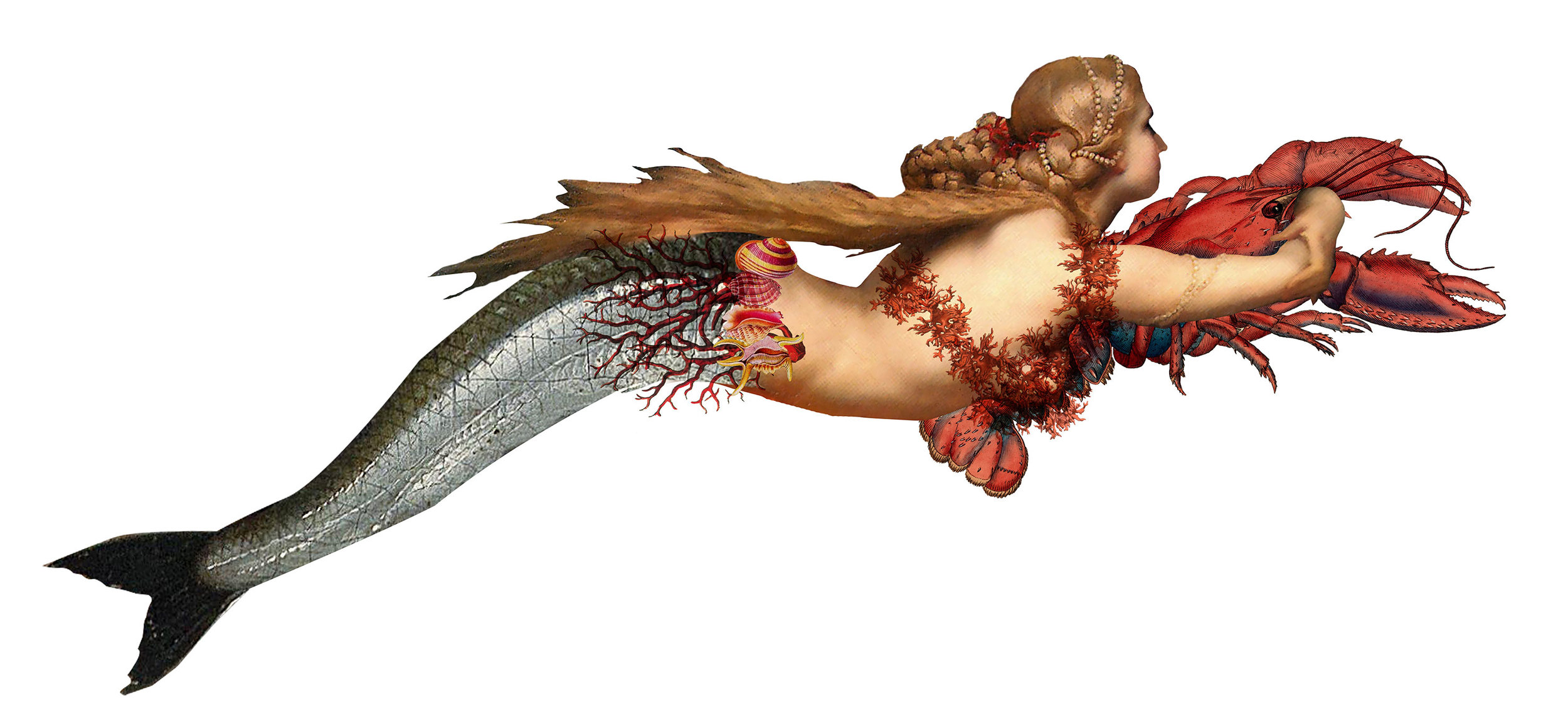 Mermaids_web.jpg