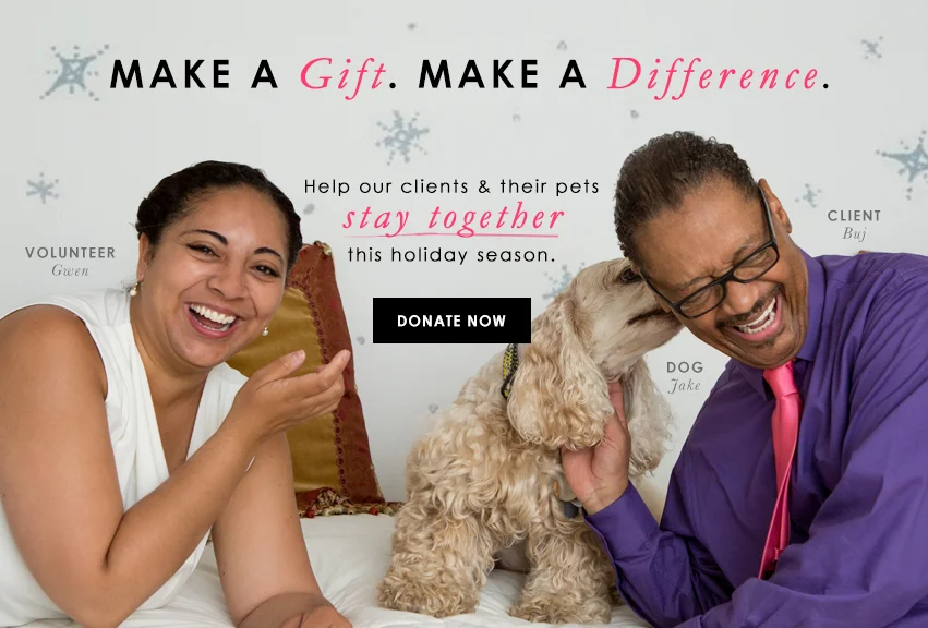 This is a social media graphic I created for PAWS NY's Facebook page in light of #GivingTuesday