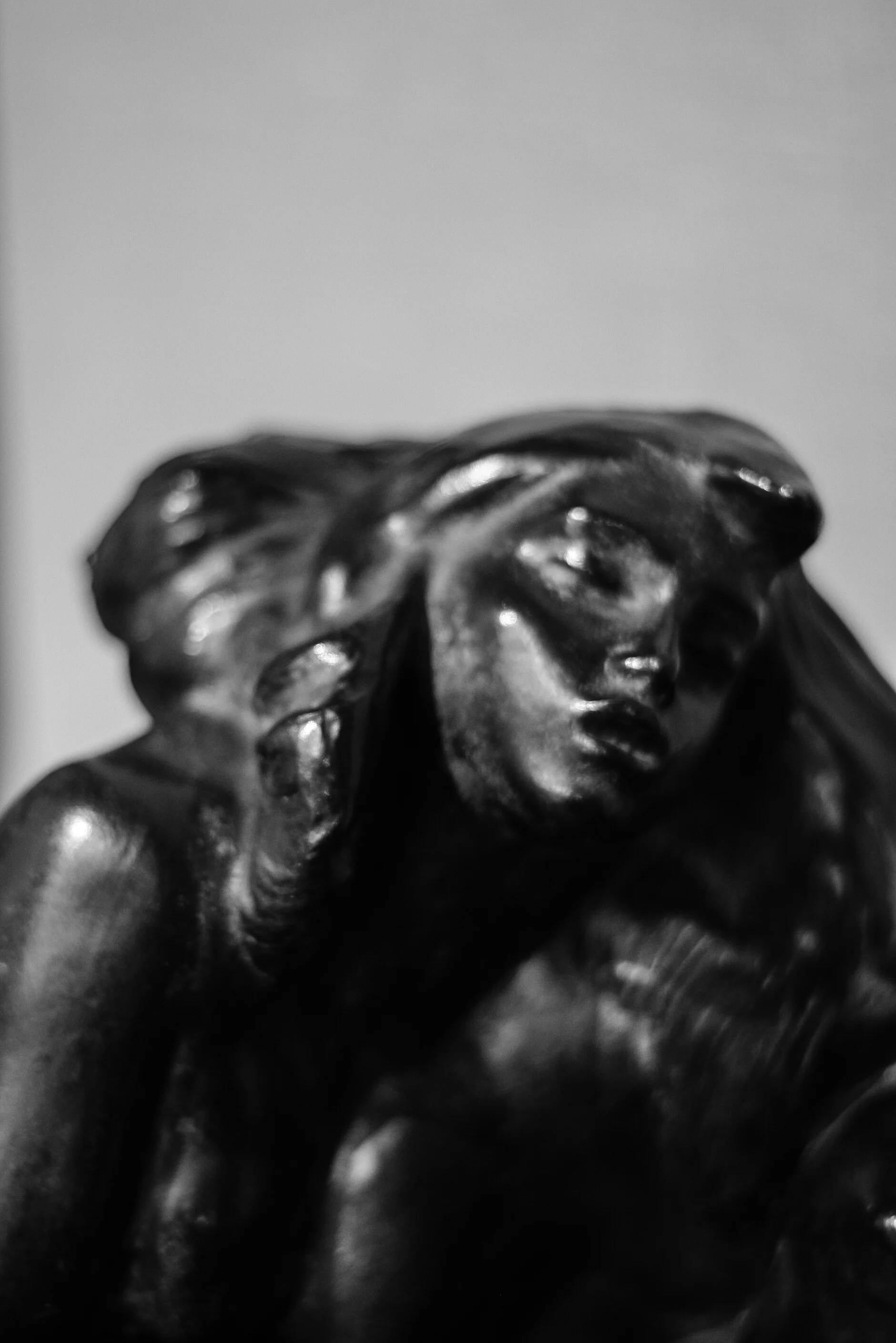 ssd_rodin_12.14.jpg
