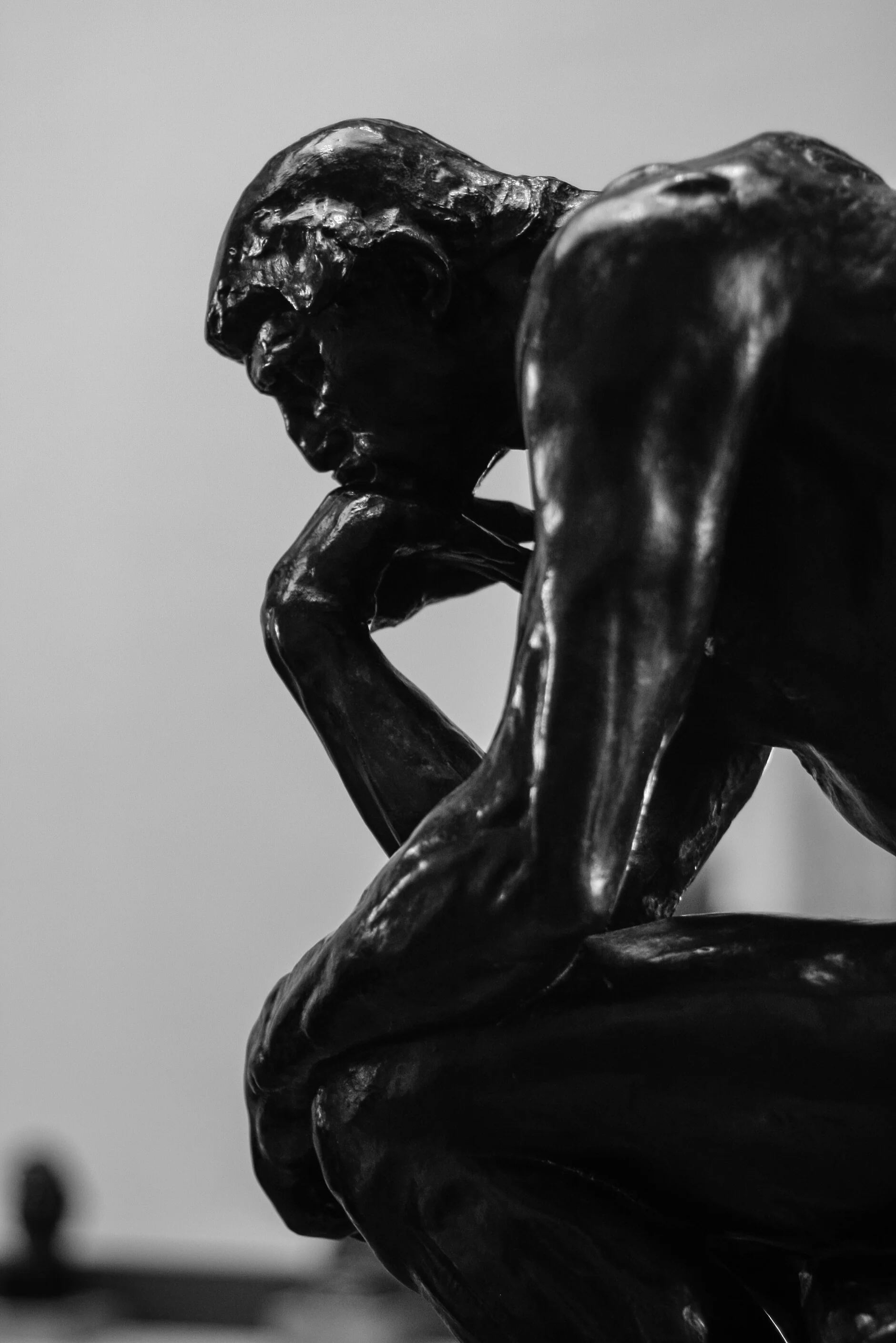 ssd_rodin_12.14.jpg