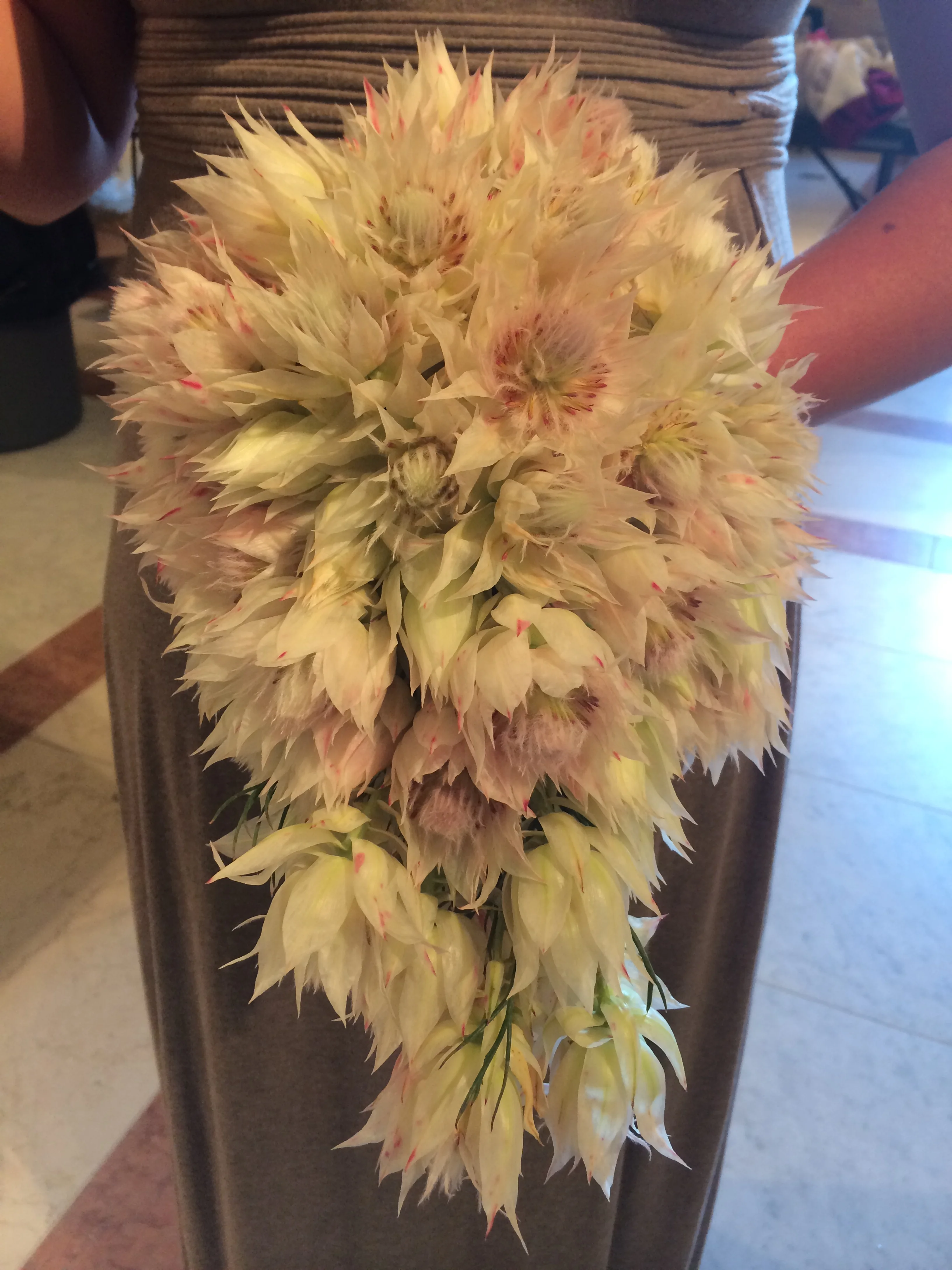 'From this Day Forward' Improper Bostonian Feature