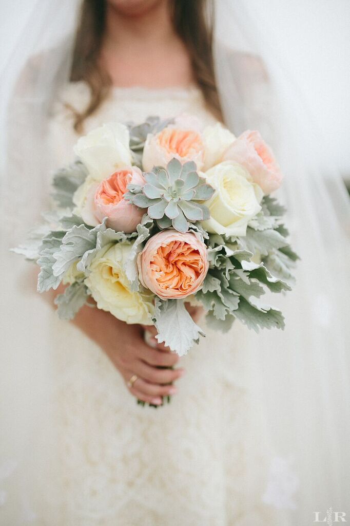 LISA RIGBY PHOTOGRAPHY