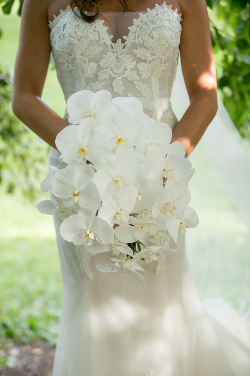 Elegant Bliss Wedding Photography