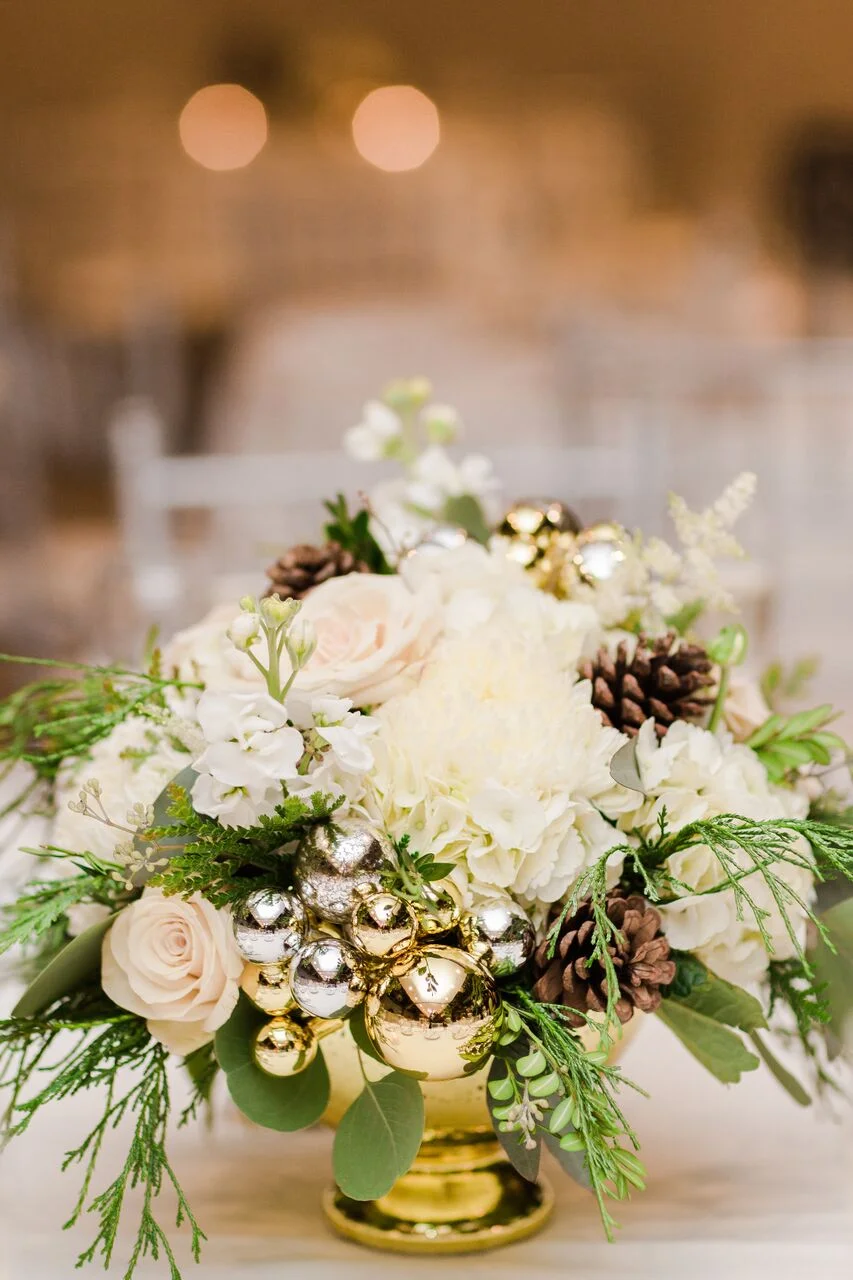 Deborah Zoe Photography