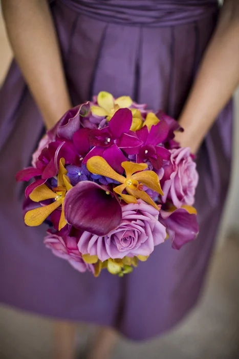 Nancy Gould Photography