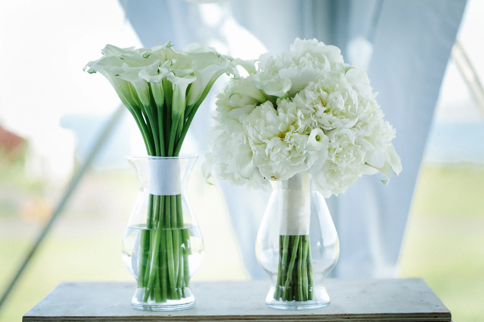 Arlene Marston Photography