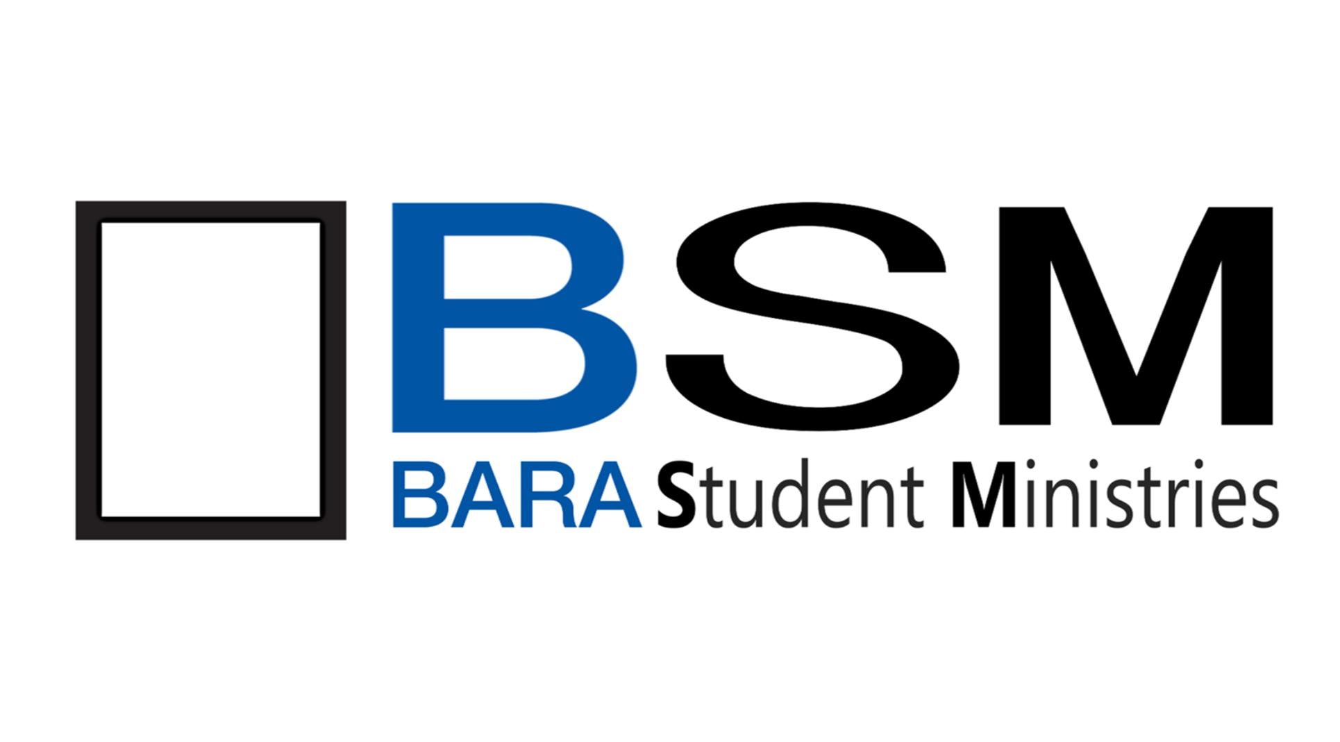 BSM Logo 2.png