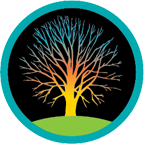 Nature Constellation Workshop: find your place in Earth Community!
