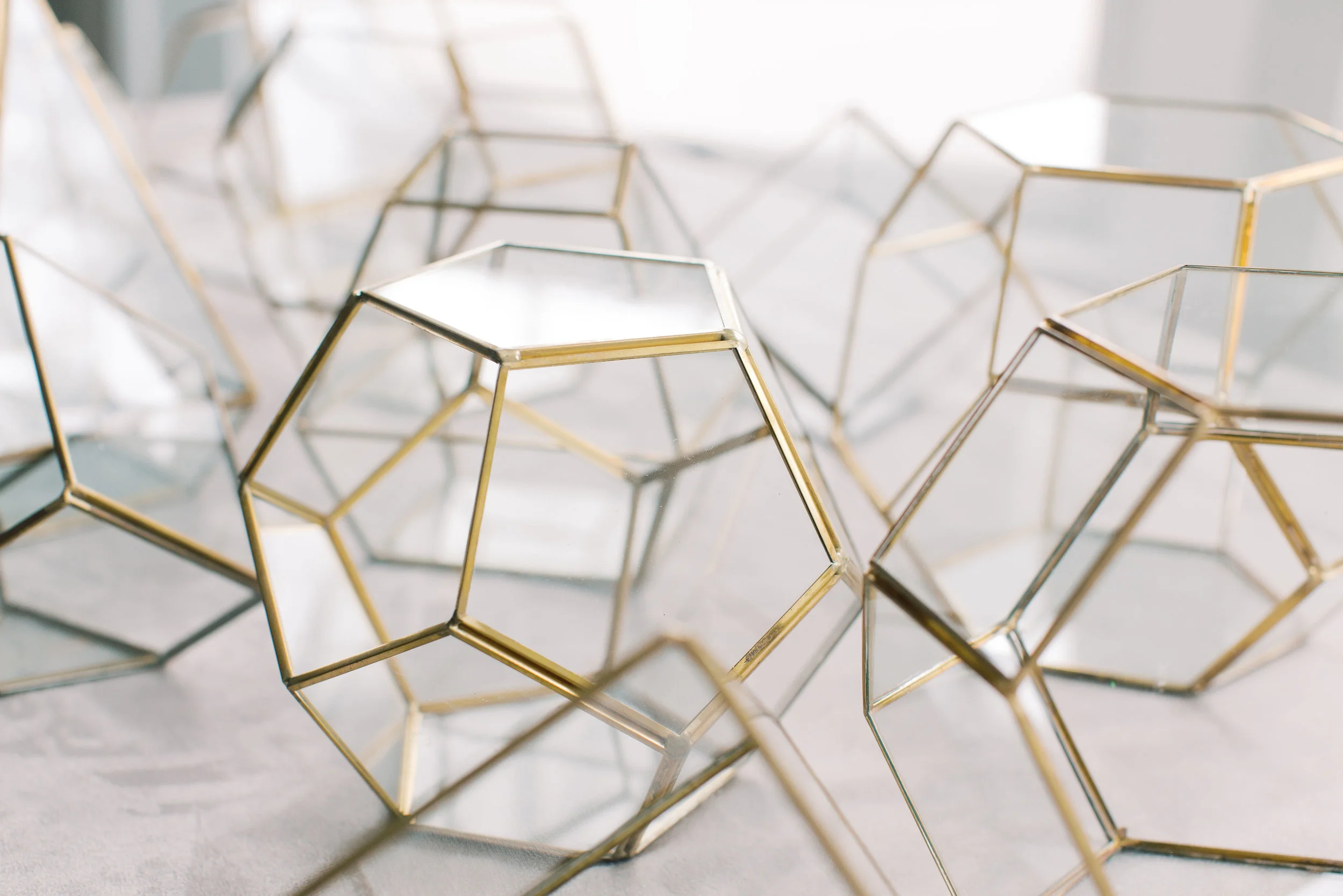 Octagon Terrariums.jpg