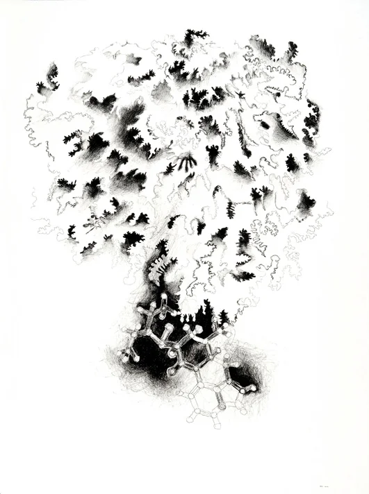 Receptor and LSD