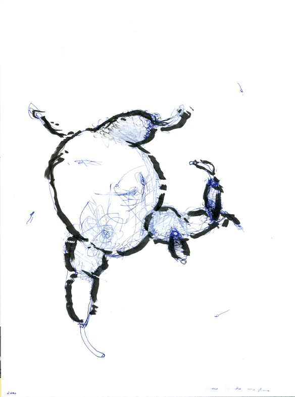 Mental Chew Toy # 11" x 8.5" Ink on paper 2015